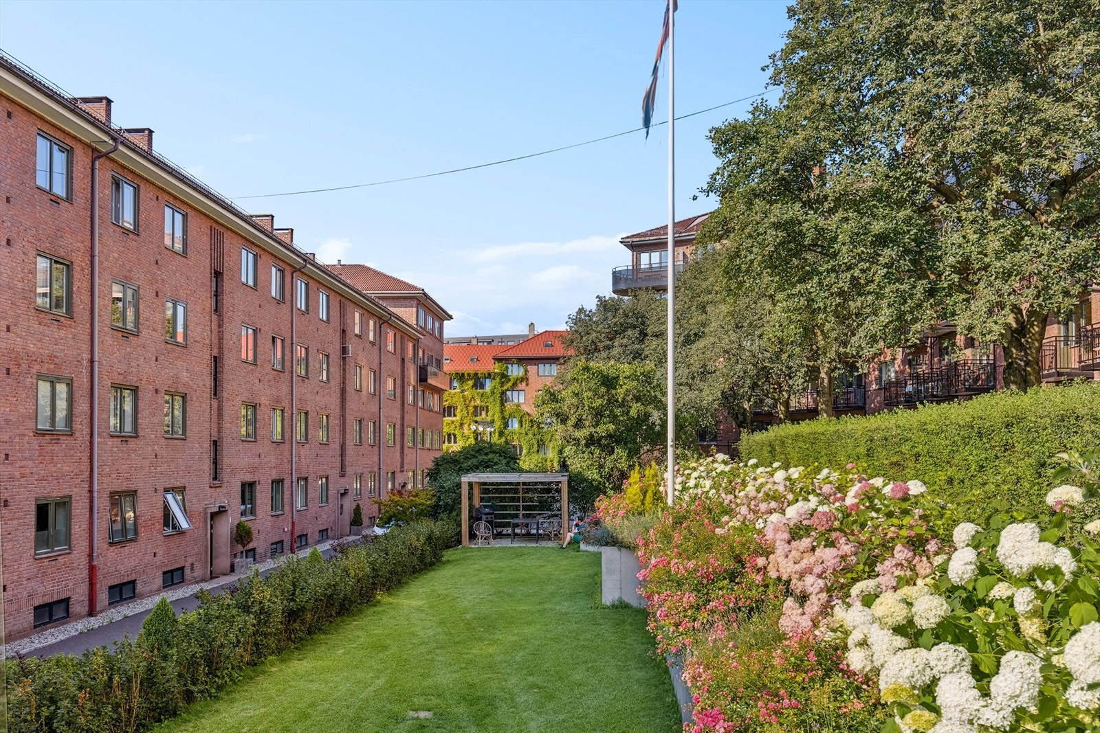 Uteområde er fantastisk, grønt og frodig. Galleribilde