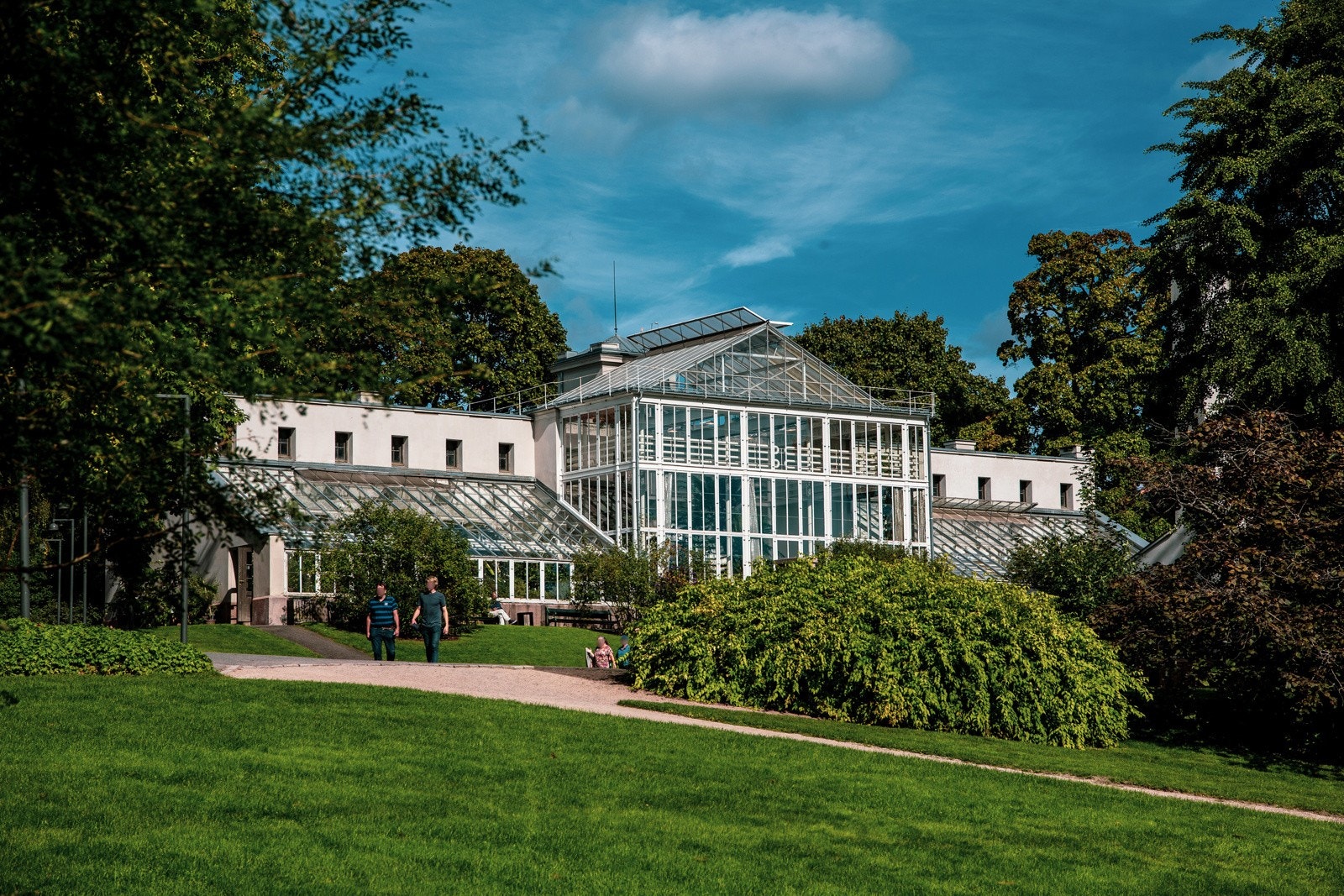 Nærområdet - Botanisk hage er en oase midt i byen som byr på en spektakulær samling av planter fra hele verden. Her kan du vandre blant frodige blomsterbed, eksotiske vekster og majestetiske trær, alt mens du nyter roen og skjønnheten naturen har å by på. Galleribilde