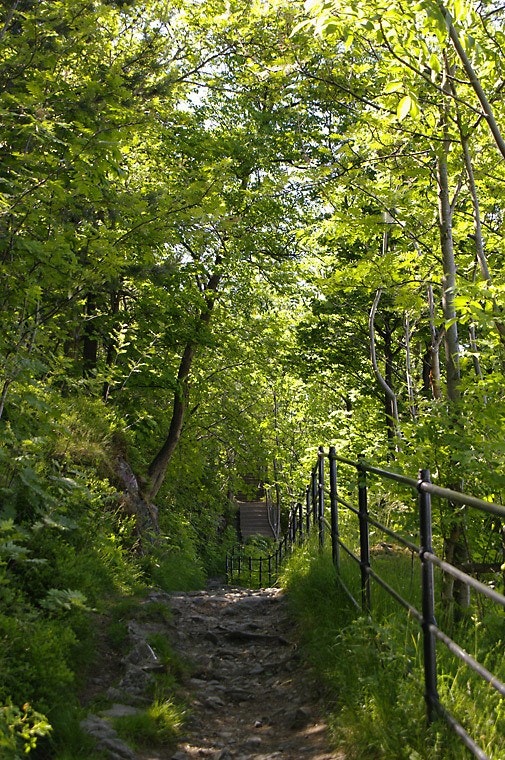 Kjærlighetstien opp til Ekebergparken. Gode turmuligheter i området. Galleribilde