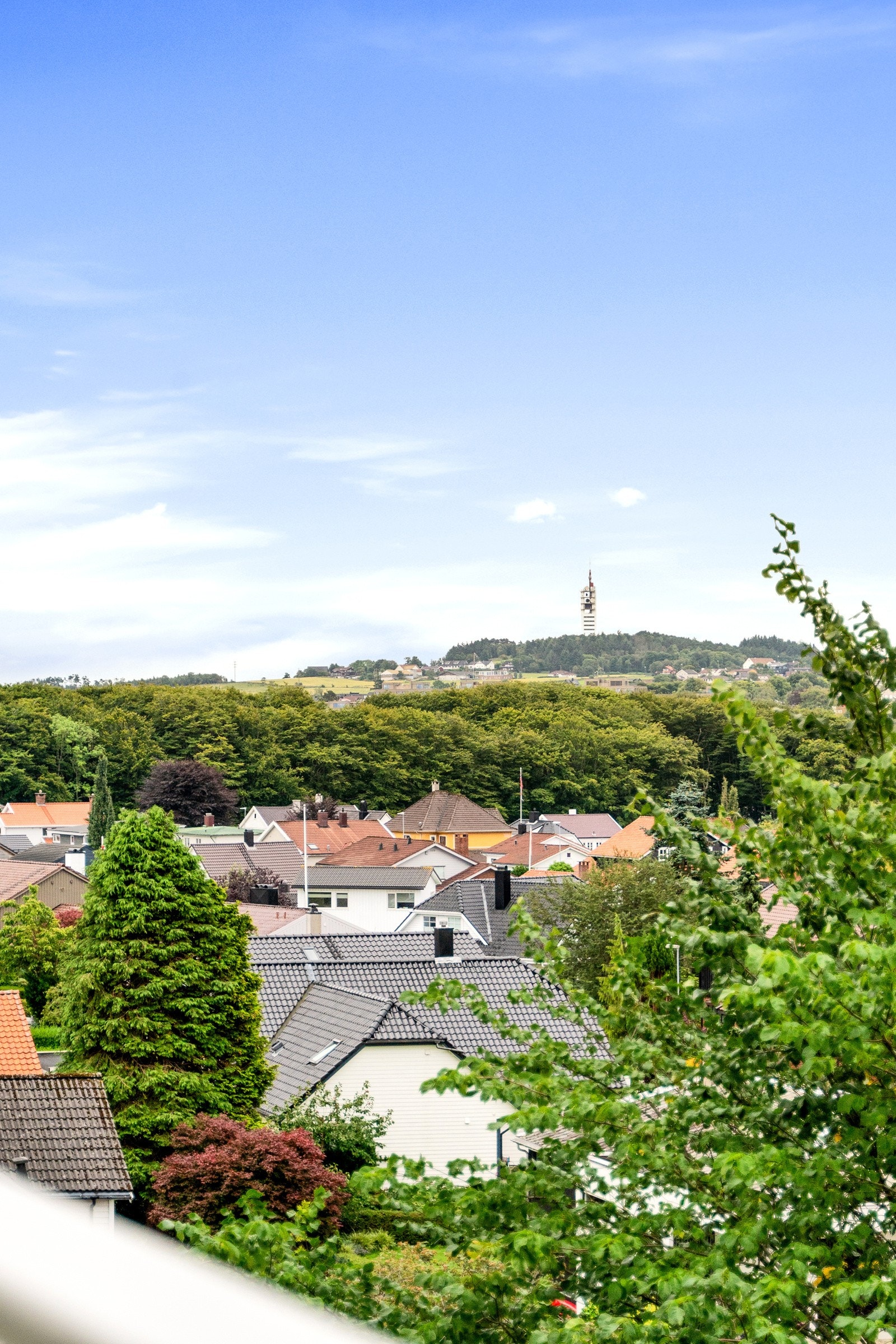 Utsikt mot Ullanhaugstårnet! Galleribilde