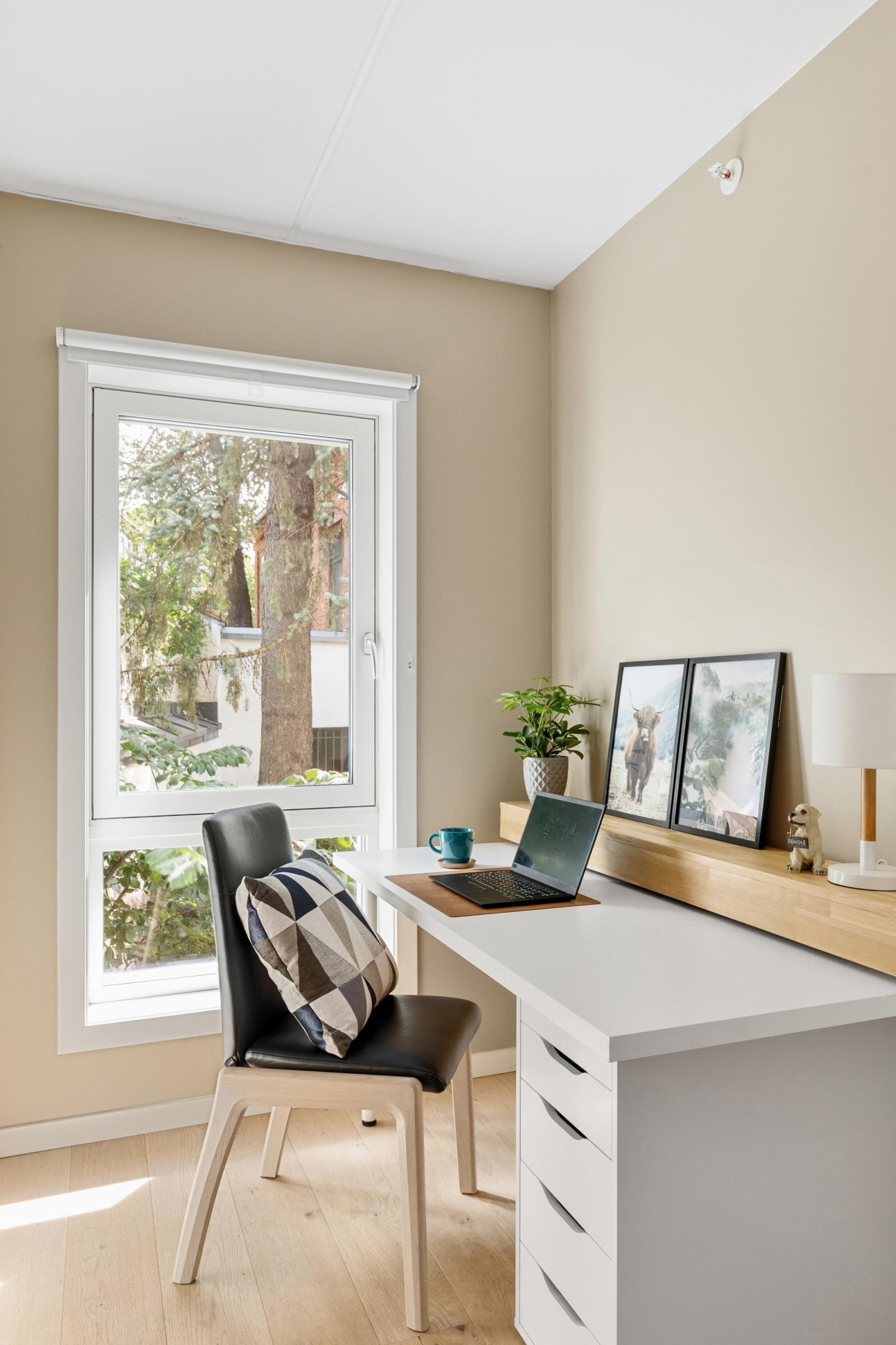 Nydelig lysinnslipp i alle rom. Galleribilde