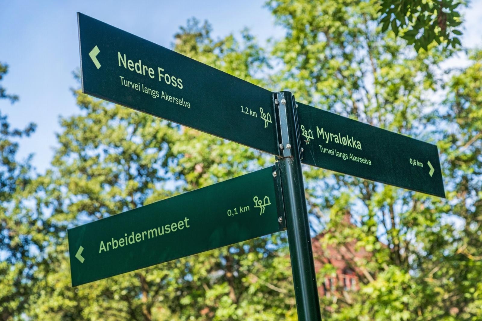 Nærområde. Galleribilde