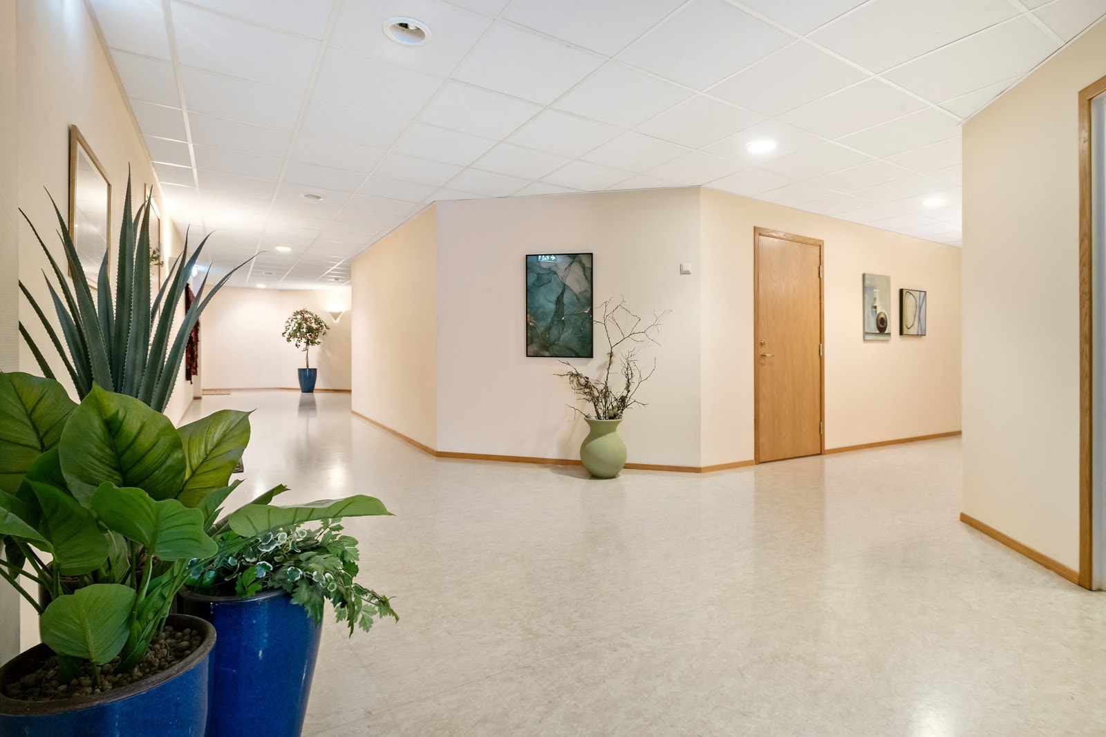 Sameiget har ryddige og romslege fellesareal Galleribilde