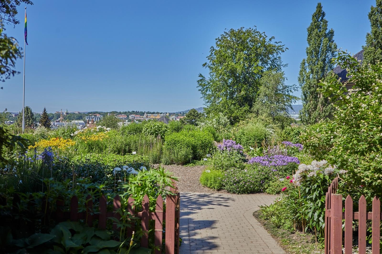 Botaniske hage. Galleribilde