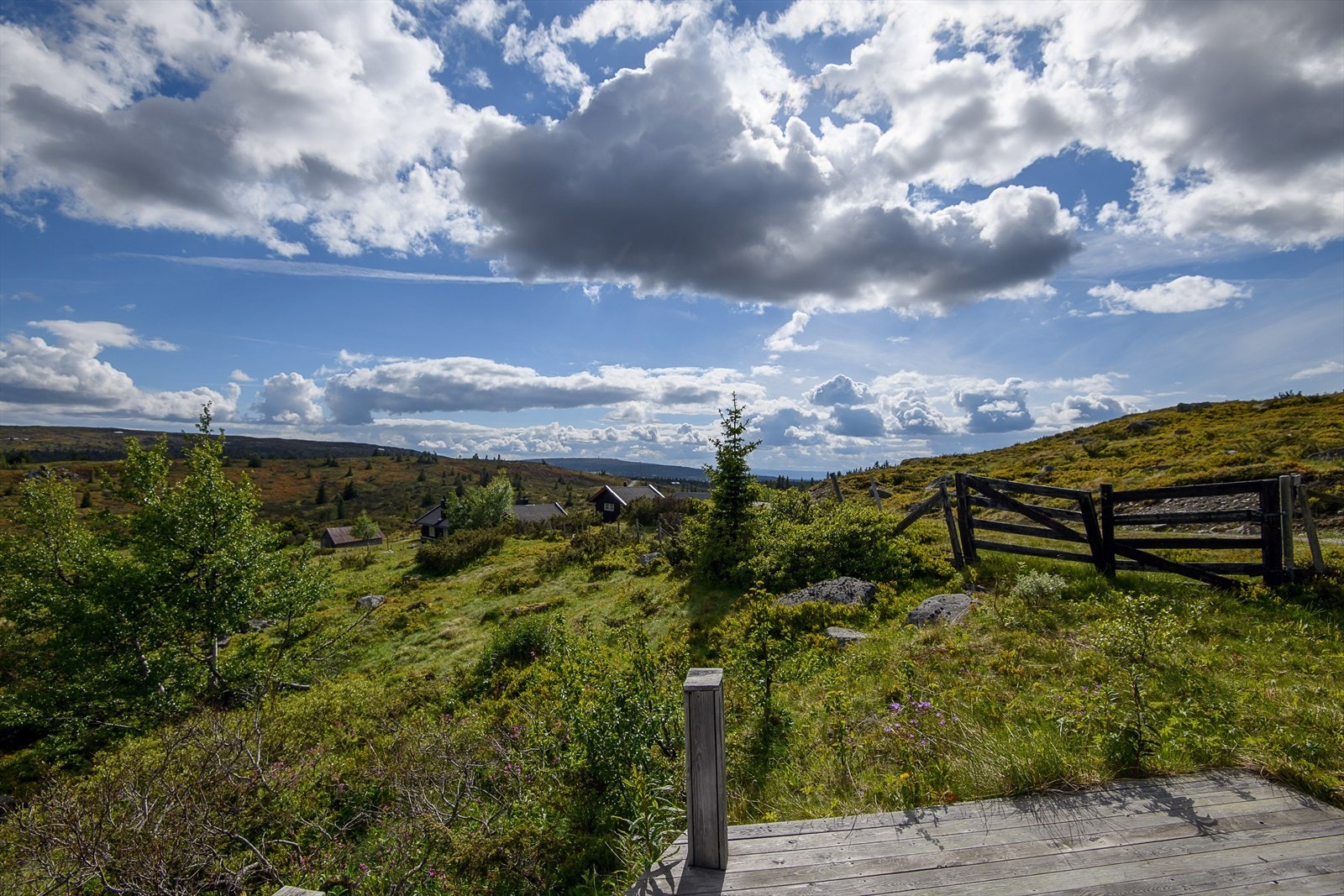 Området har god solgang. Galleribilde