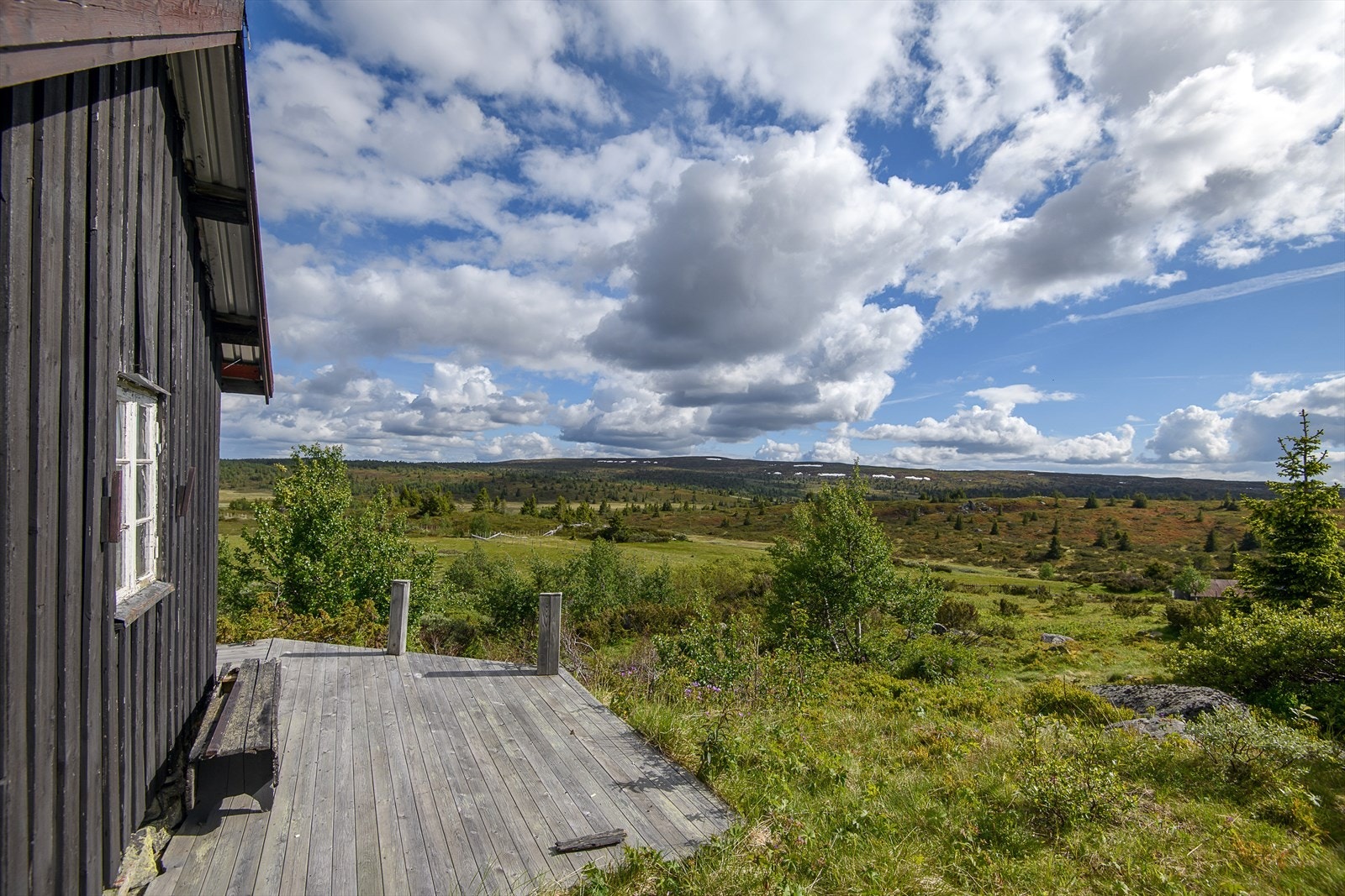 Platting på sør- og vestsiden av hytta. Galleribilde