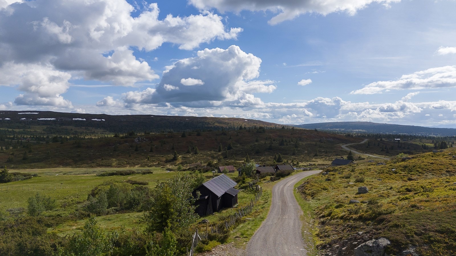 Privat vei helt inn til hytta på sommeren. Galleribilde