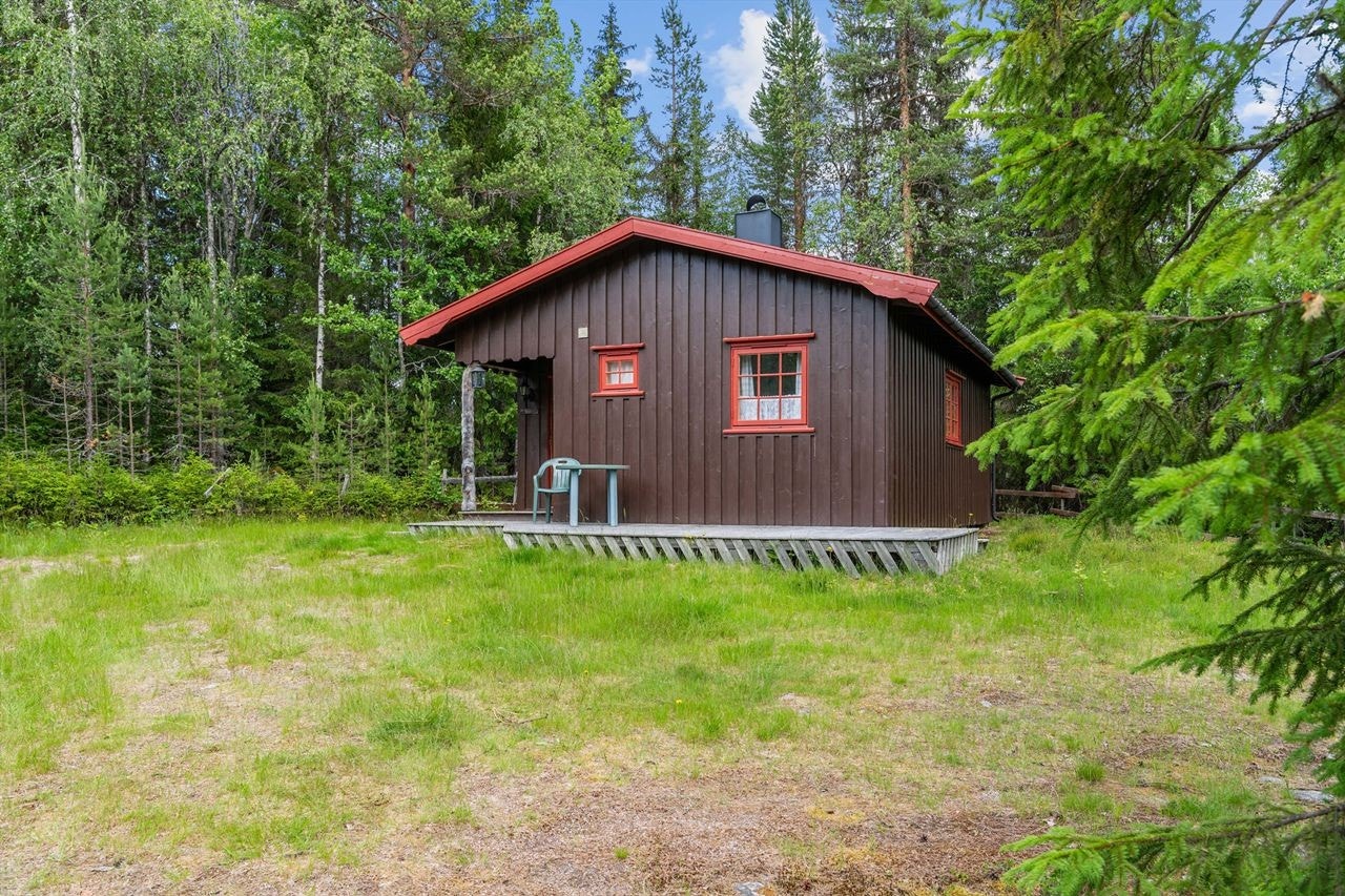 Hytta ligger meget usjenert på en hyggelig gresslette omgitt av skog. Meget gode tur-, jakt- og fiskemuligheter i nærområdet. Galleribilde