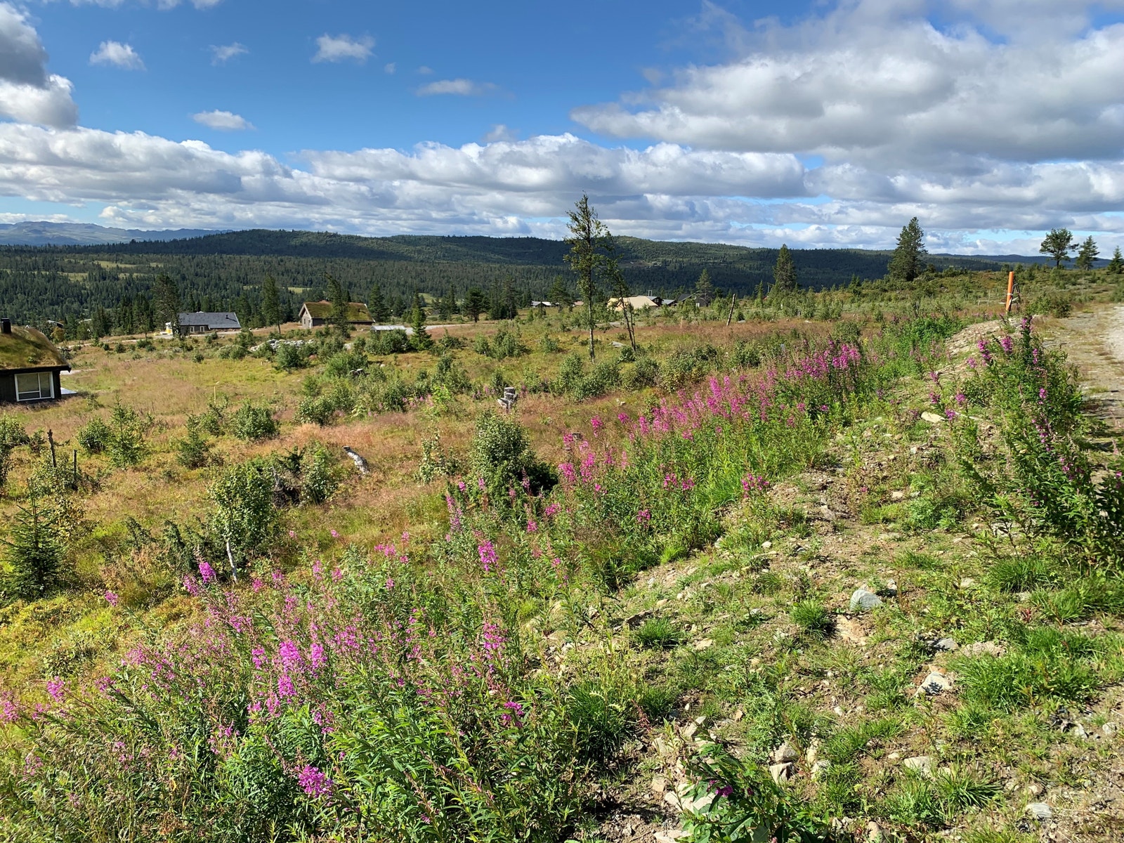 Tomteområdet Galleribilde