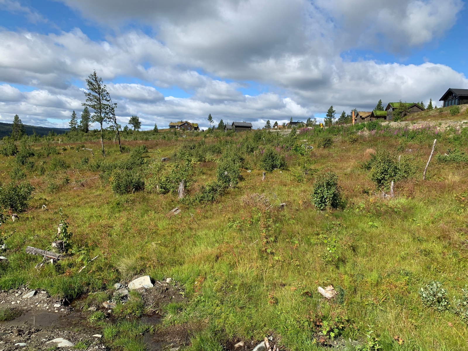 Tomteområdet Galleribilde