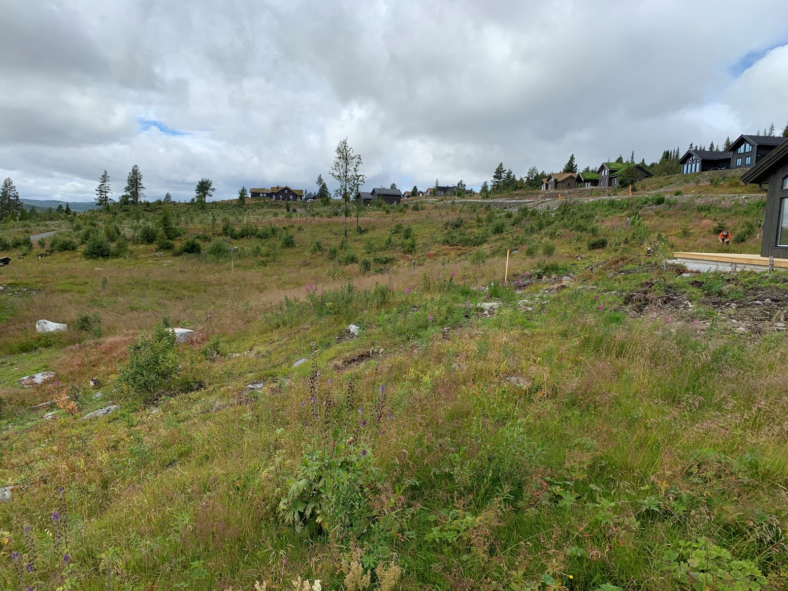 Tomteområdet Galleribilde