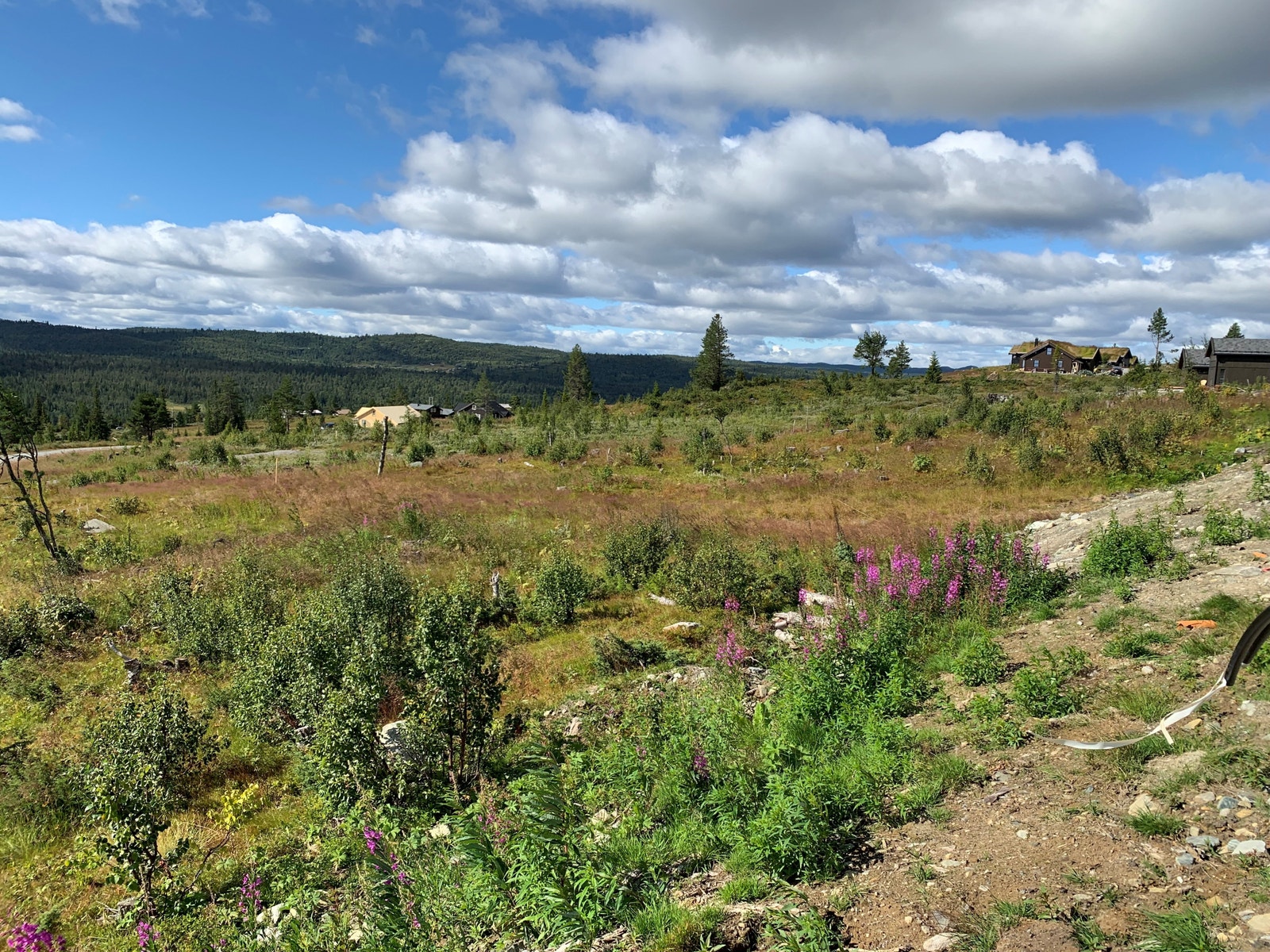 Tomteområdet Galleribilde