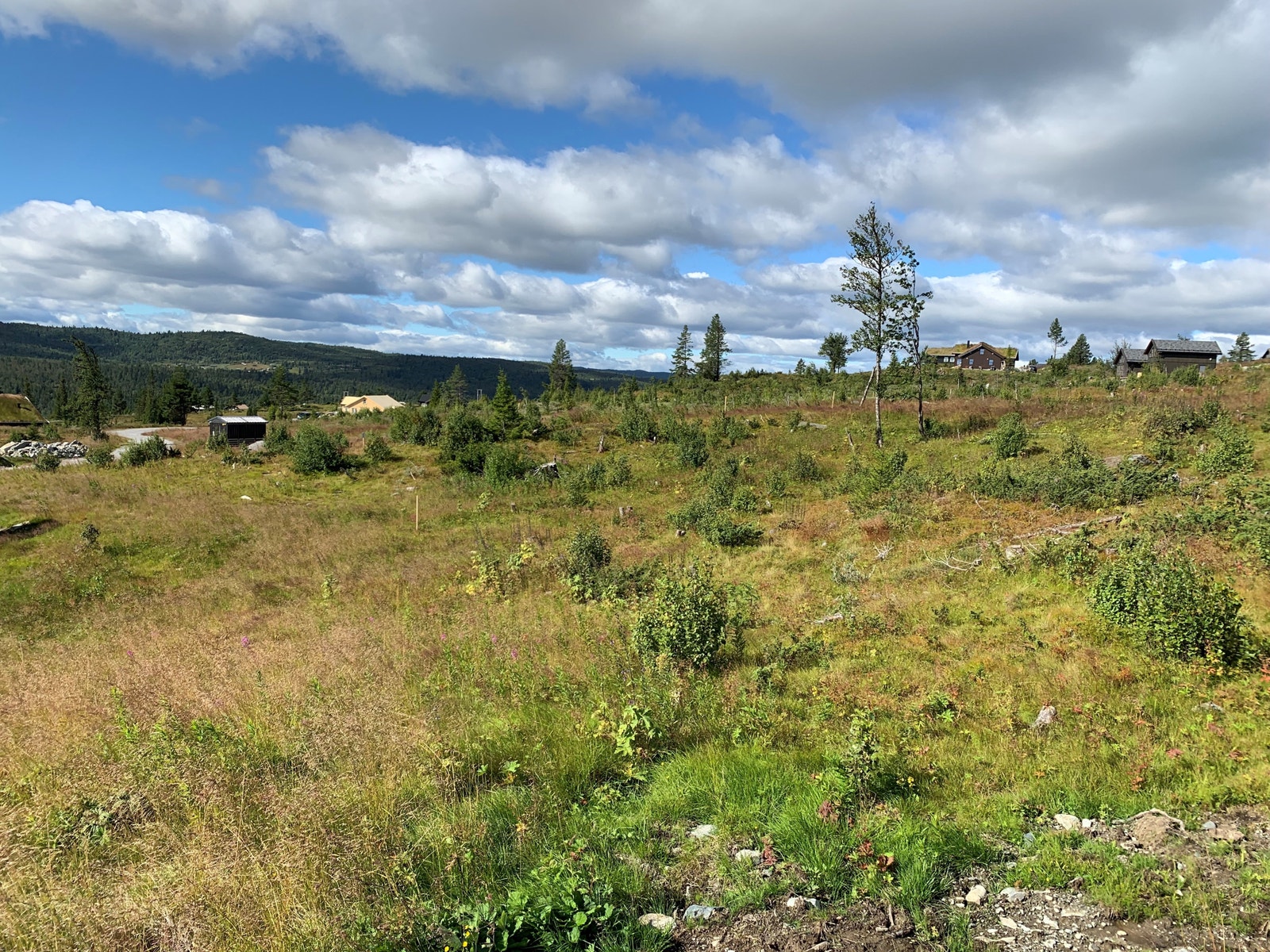 Tomteområdet Galleribilde