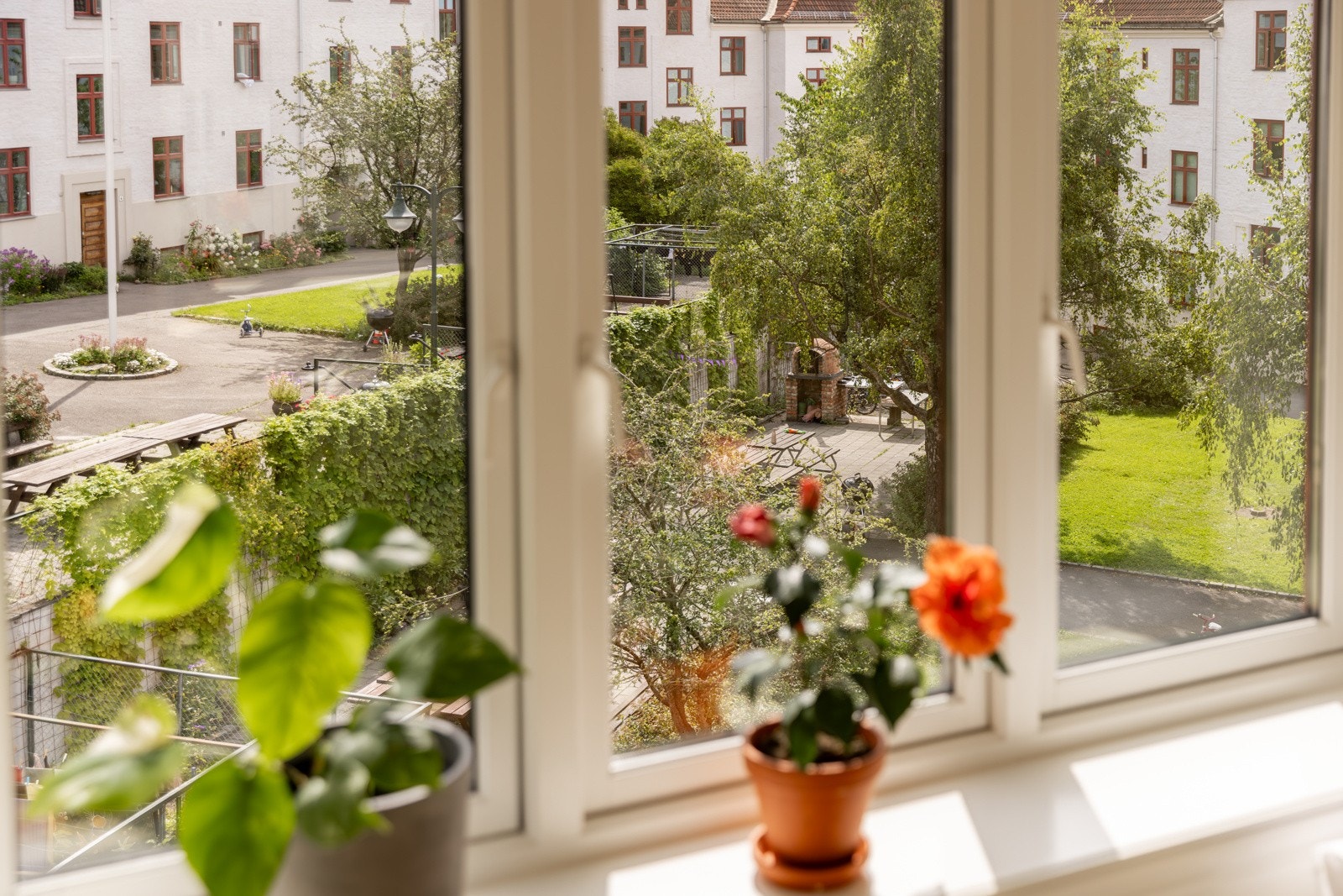 Stor klassisk vindusflate med hyggelig utsyn over bakgården. Galleribilde