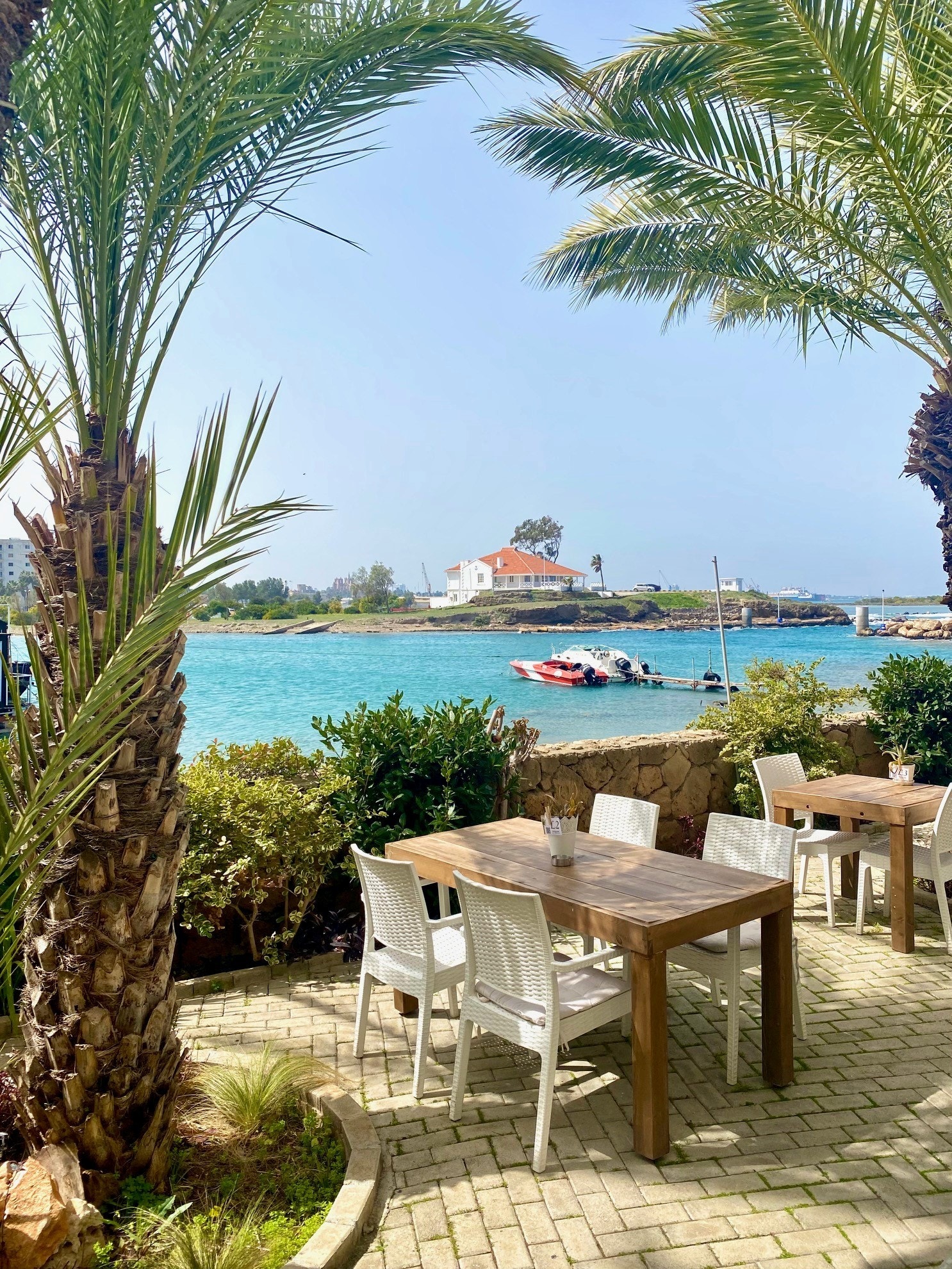 The Palm House ved Palm Beach Galleribilde