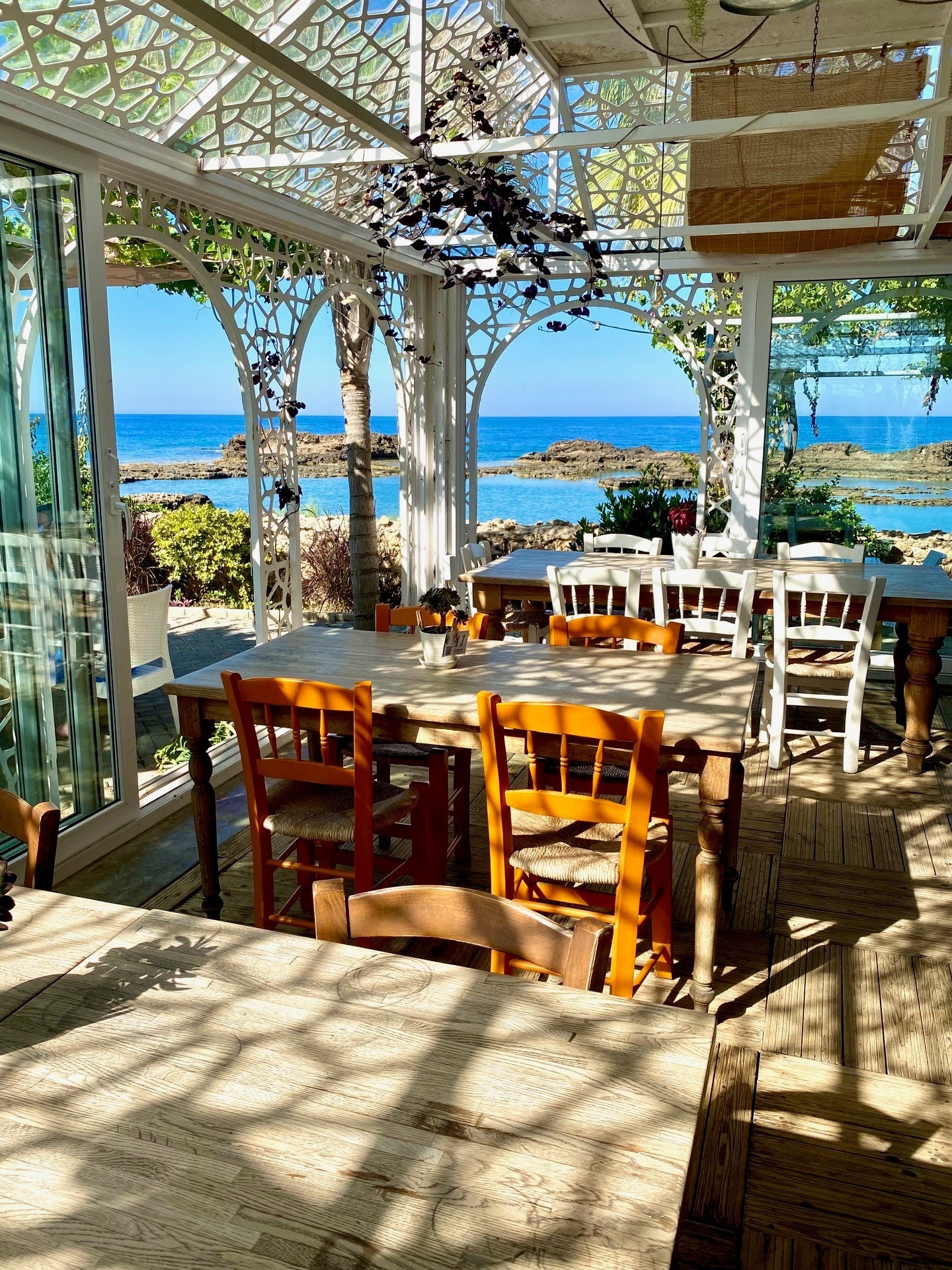 The Palm House Galleribilde