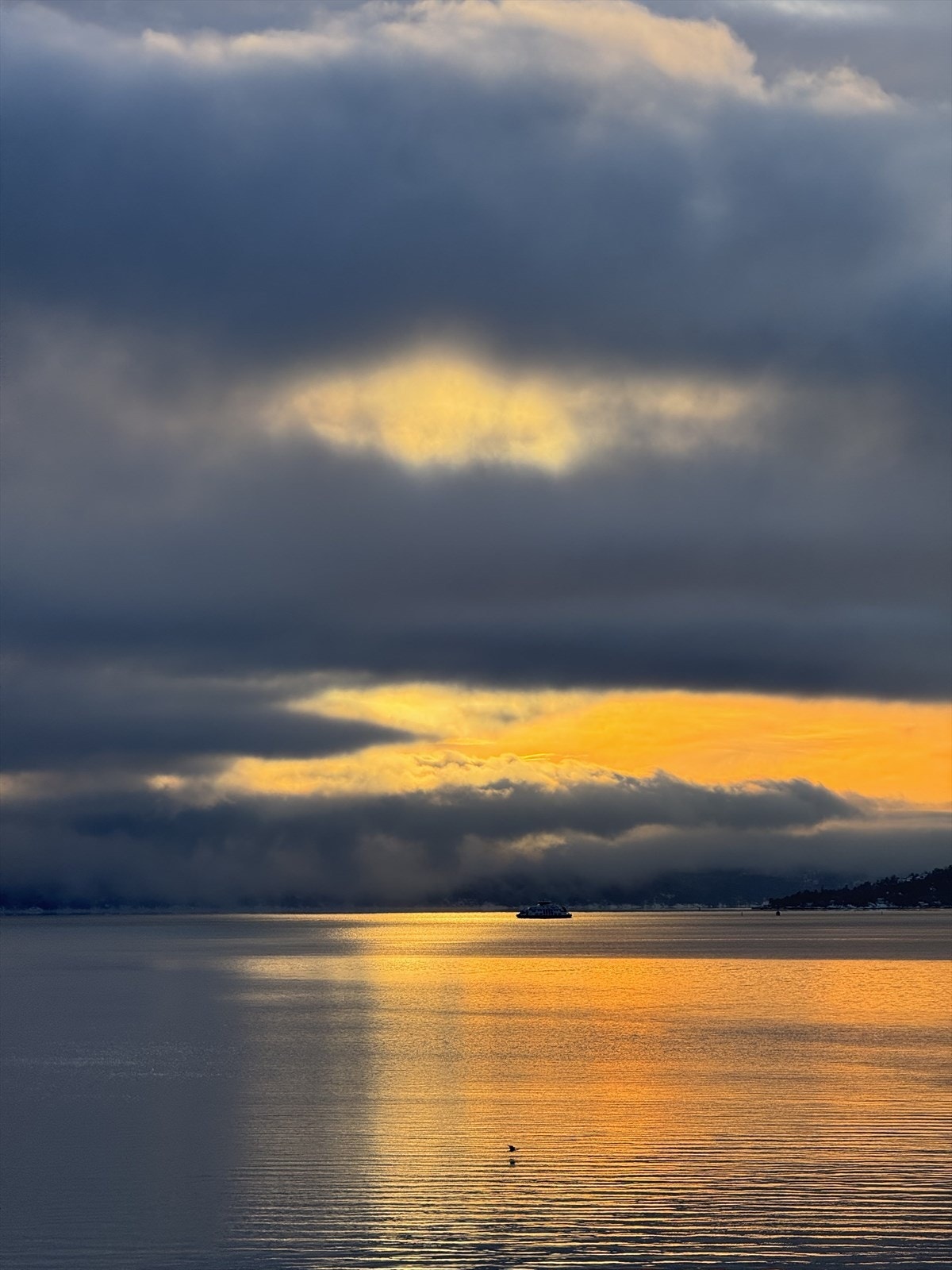 Stemningsbilde Galleribilde