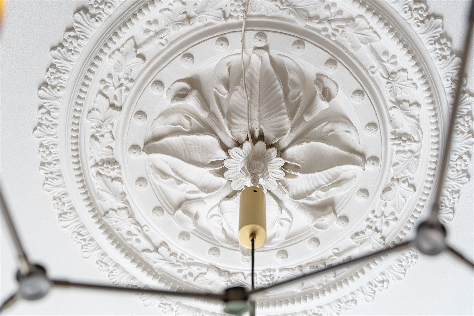 Nydelig rosett Galleribilde