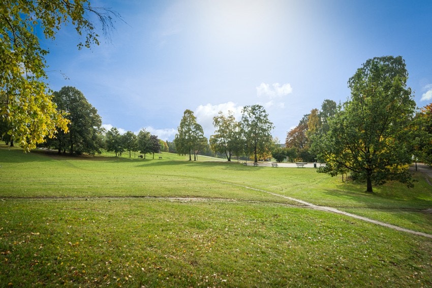 Nærhet til de grønne lungene i Torshovdalen. Torshovdalen er en naturskjønn park i Oslo, kjent for sine frodige grøntområder, svingete stier og panoramautsikt over byens skyline og omkringliggende områder. Galleribilde