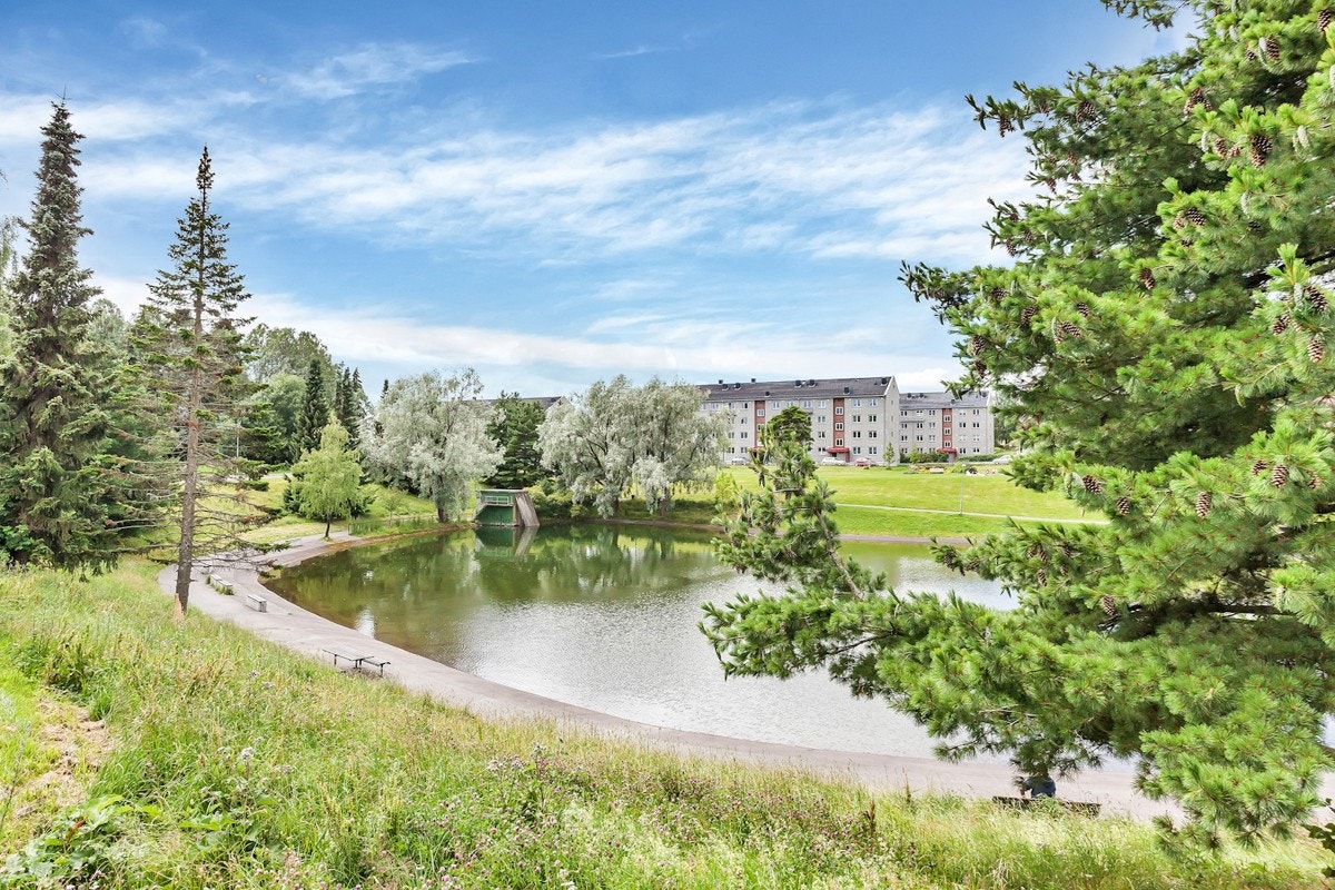 Populære badedammen ligger like ved boligen Galleribilde