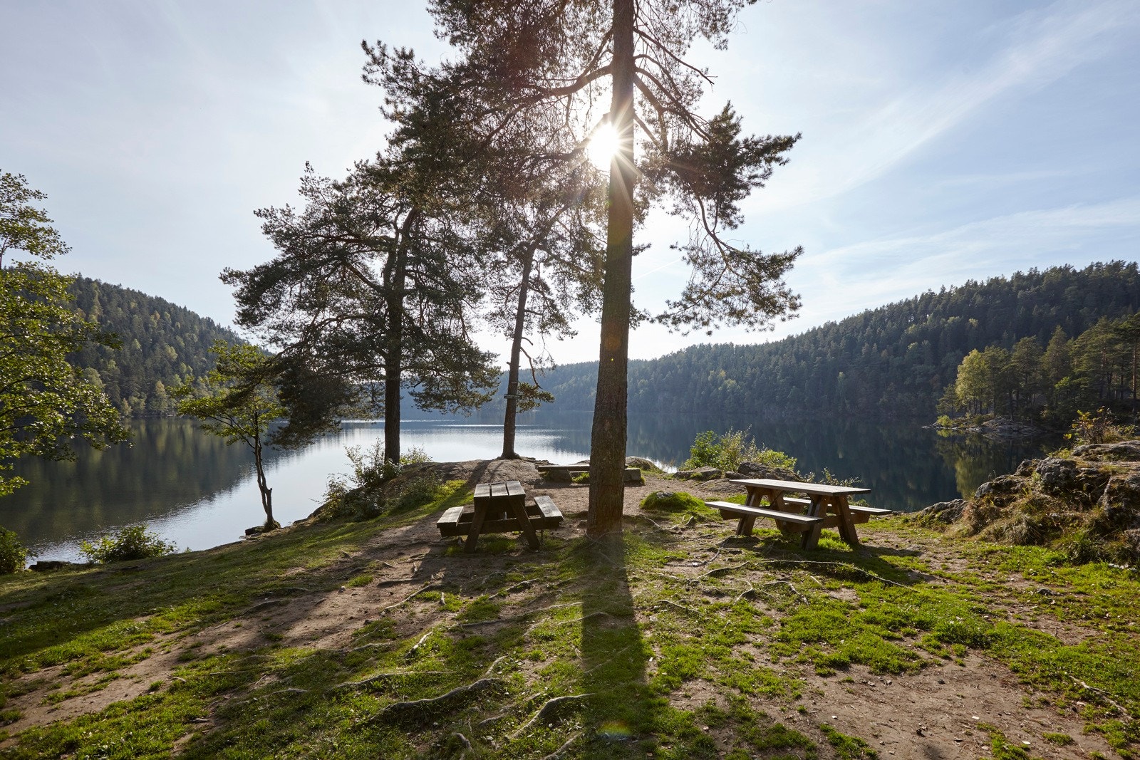Kort vei til idylliske Lutvann Galleribilde