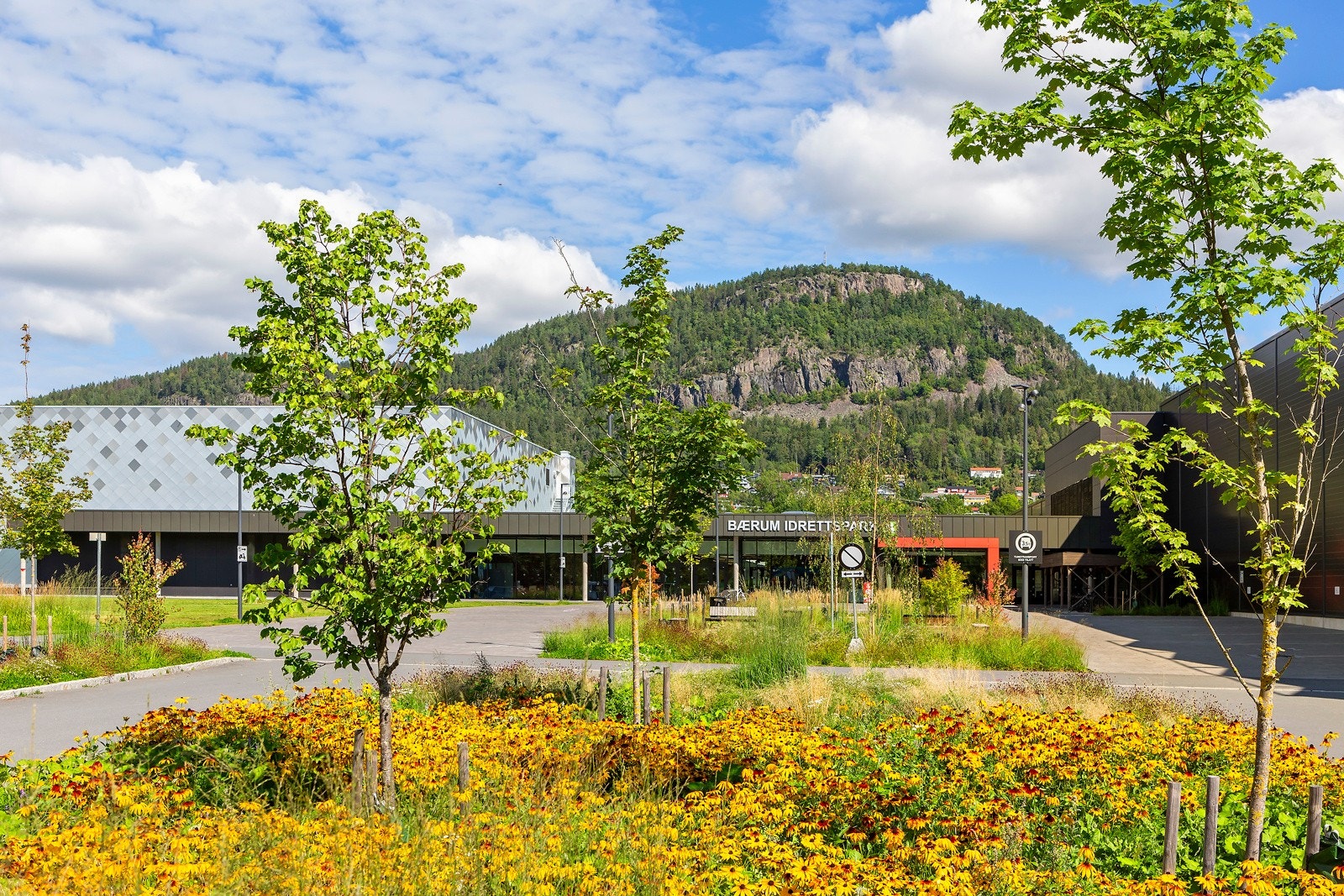 CS_Bærum idrettspark 2_202308 Galleribilde
