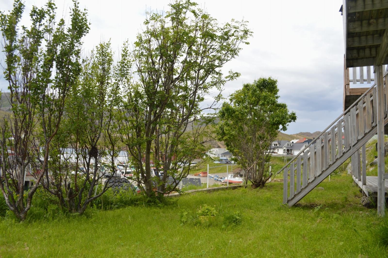 Pent opparbeidet med prydbusker Galleribilde