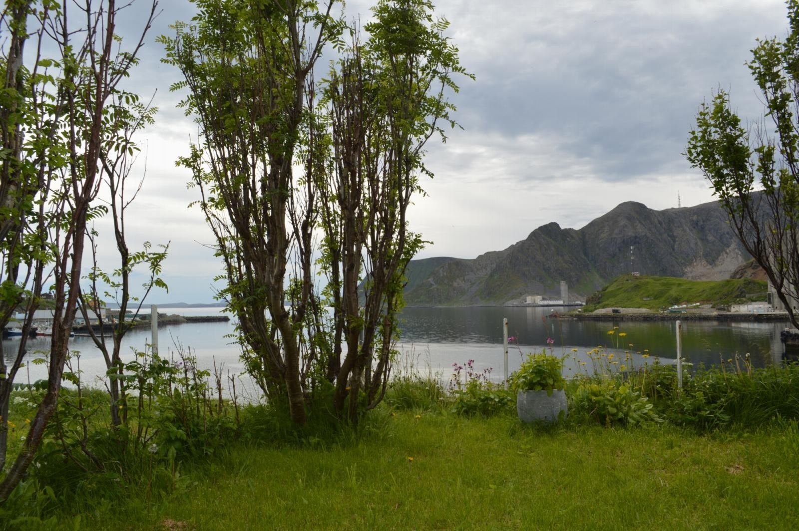 Utsikt fra hagen Galleribilde