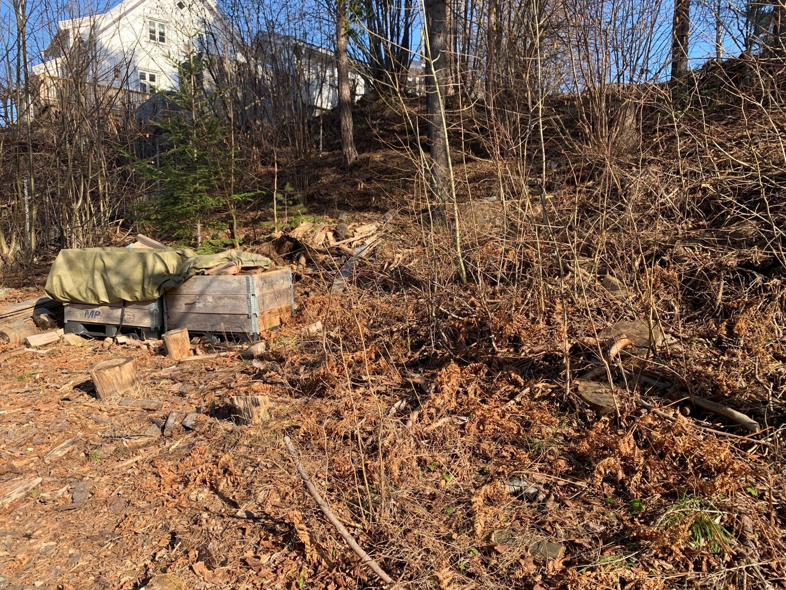 Det bør nok påregnes terrenginngrep... selv om det finnes noen flate partier. Galleribilde