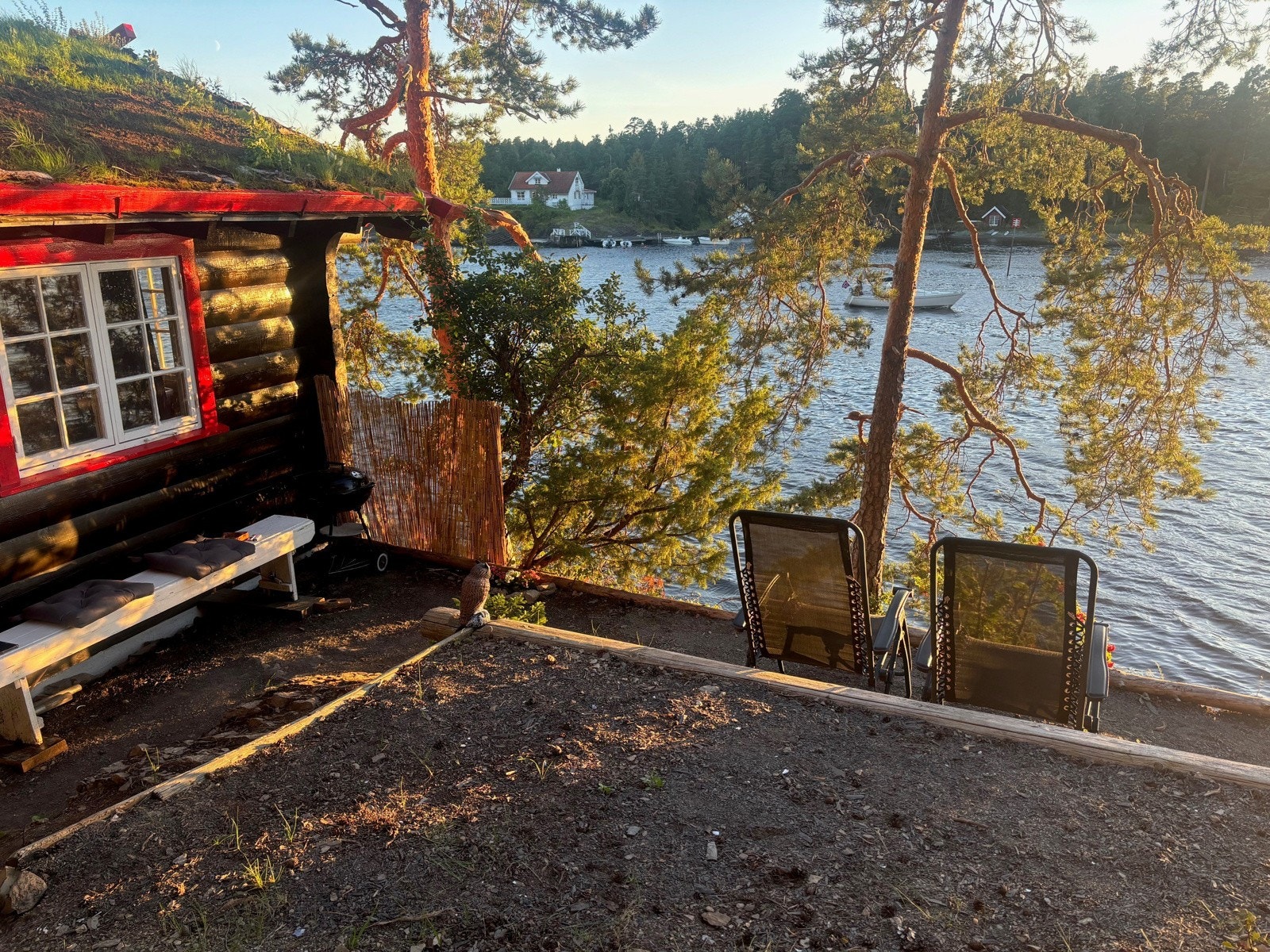 Ropern 2 Galleribilde