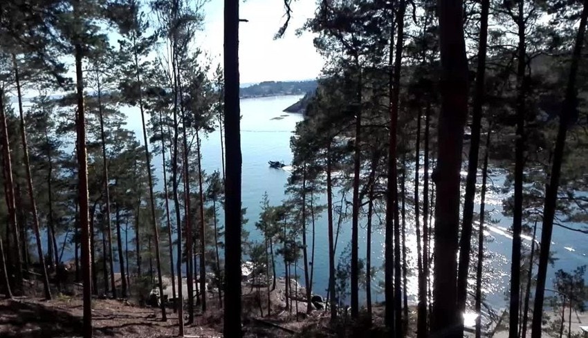 Tomtene ligger tilbaketrukket med spennende, til dels bratt terreng, med endel furutrær. Galleribilde