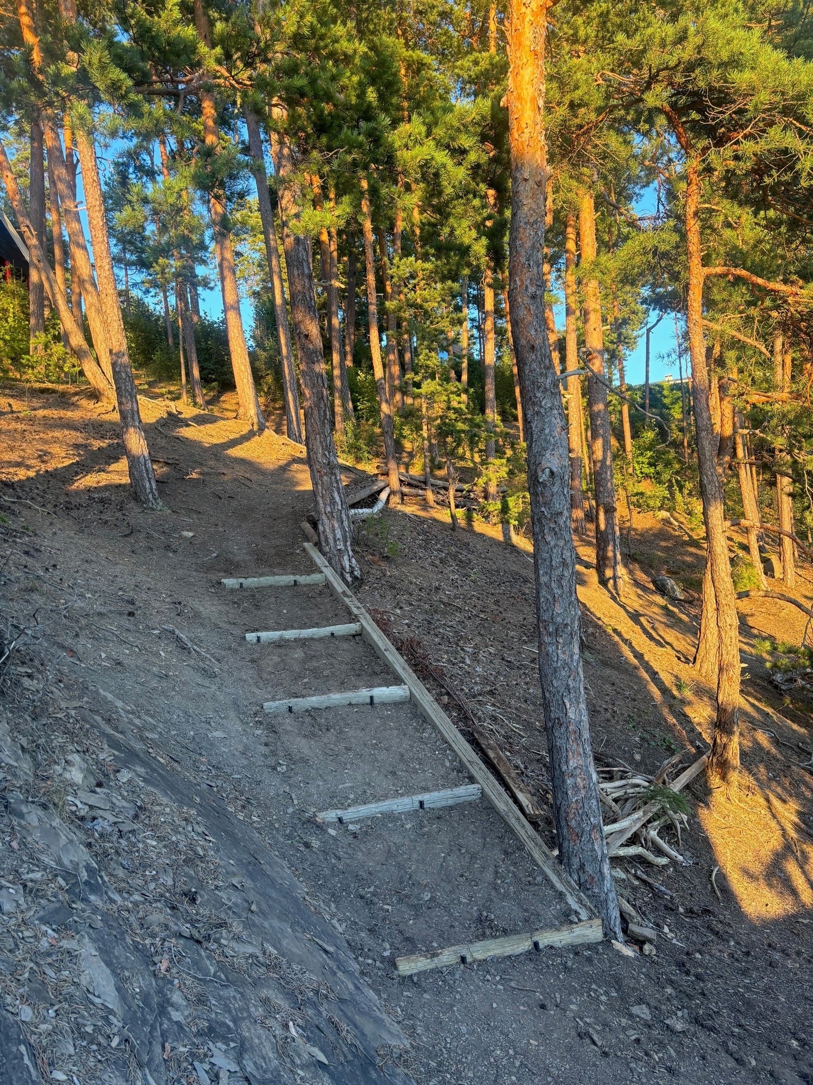 Ropern 3 Galleribilde