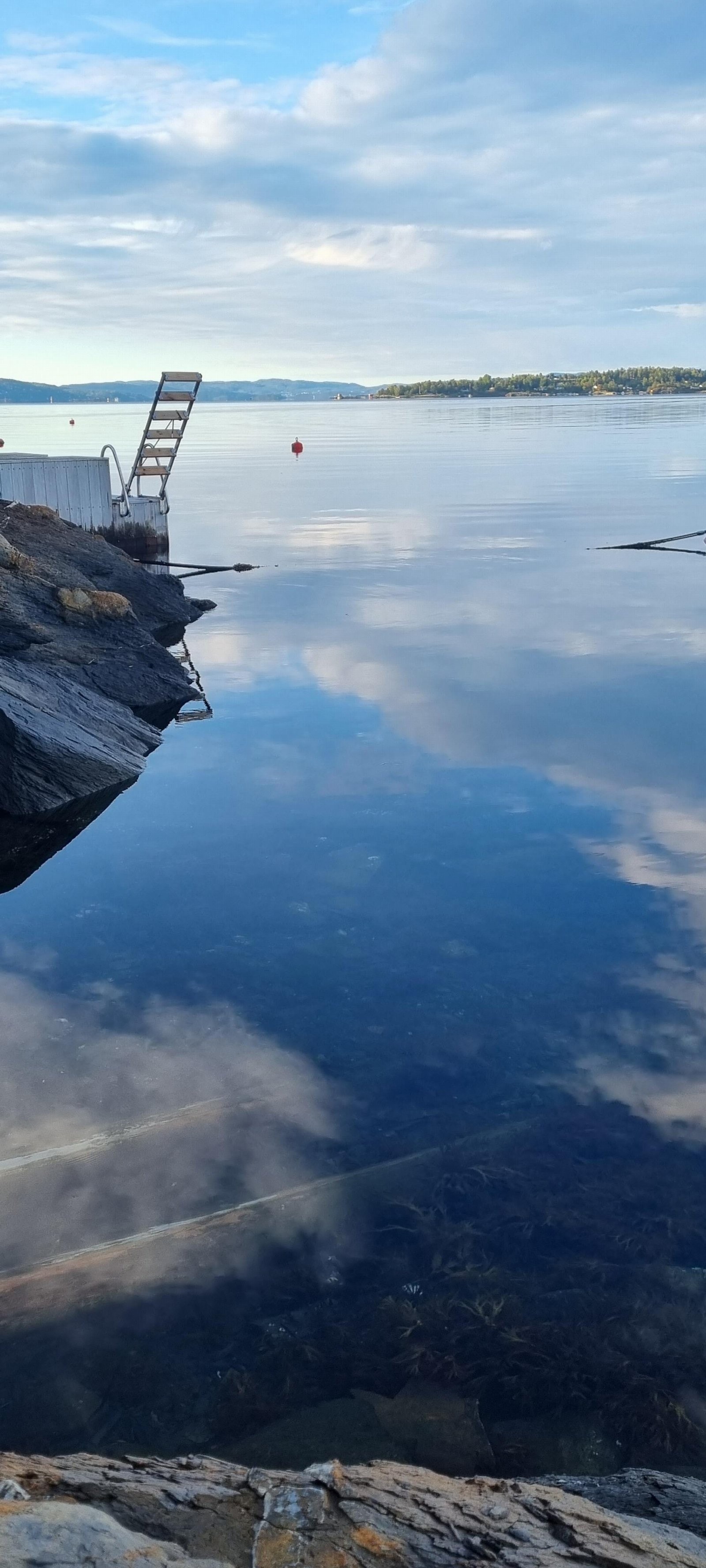 Sommerutsikt fra bryggen Galleribilde