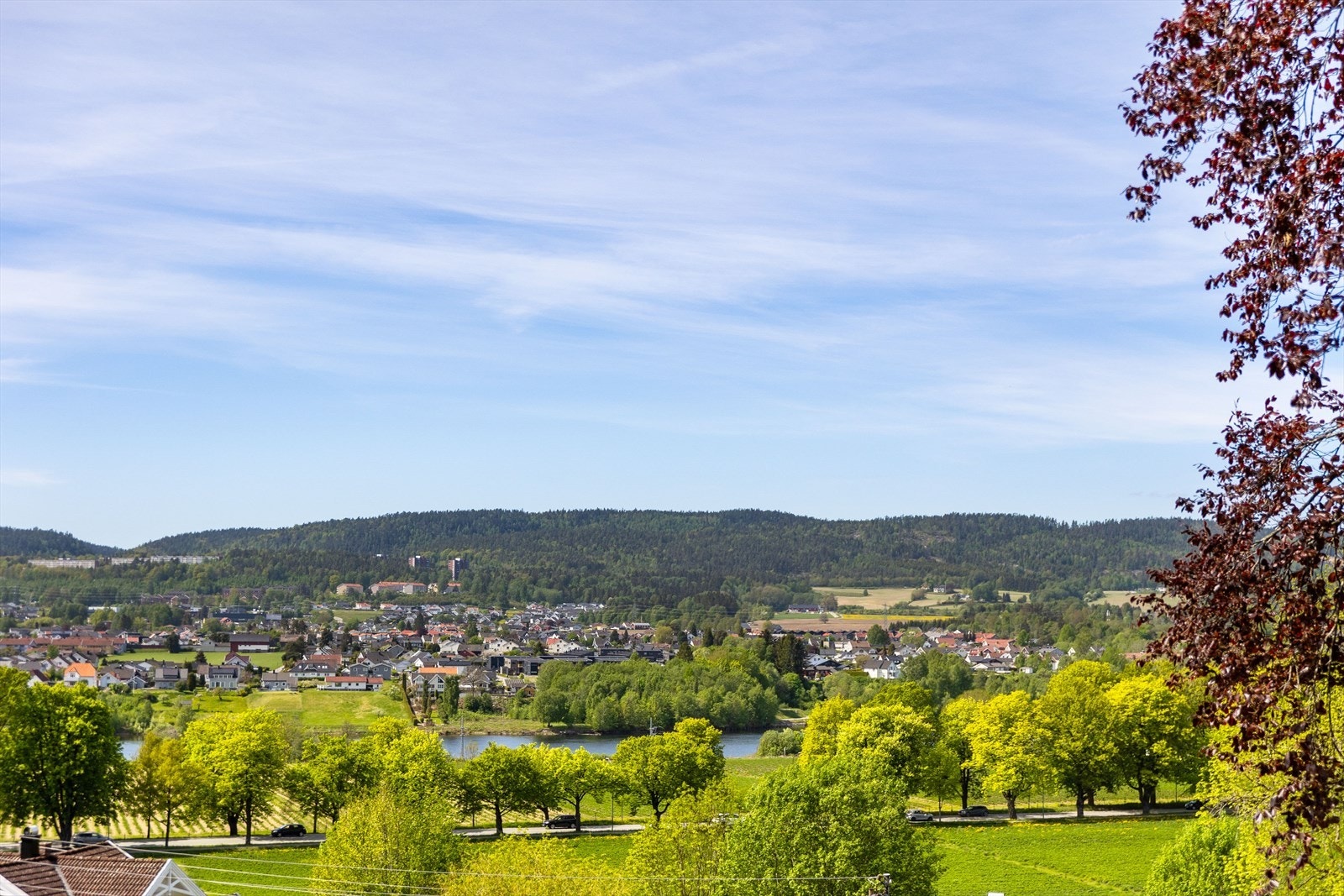 Vakker panoramautsikt fra Frierfjorden i syd til Lifjell i nordvest fra både stuen og terrasser Galleribilde