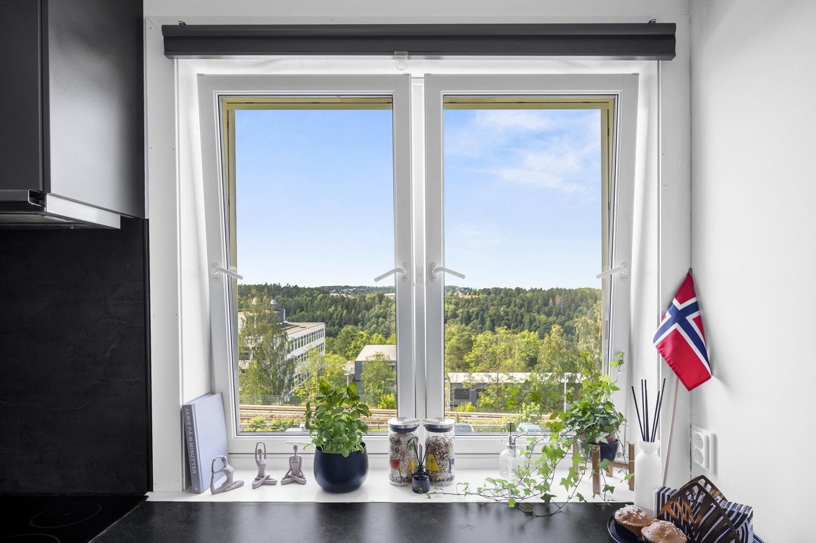 Fantastisk utsikt Galleribilde