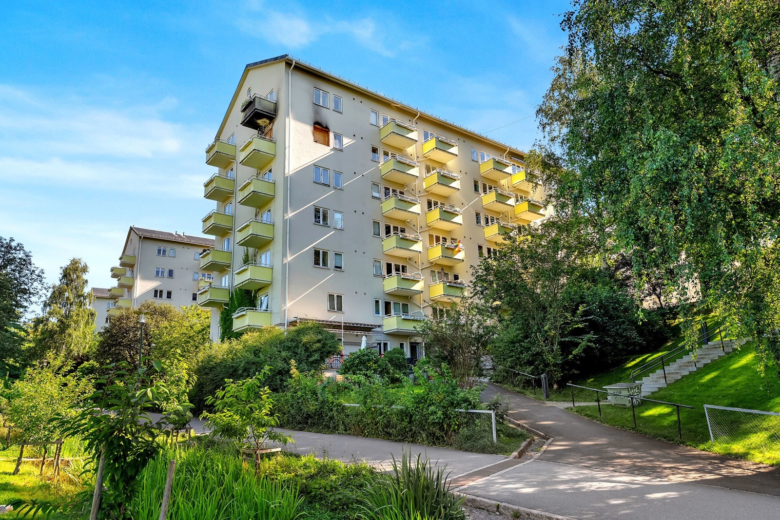 Like ved leiligheten ligger Iladalen park som er svært populær på sommerhalvåret Galleribilde