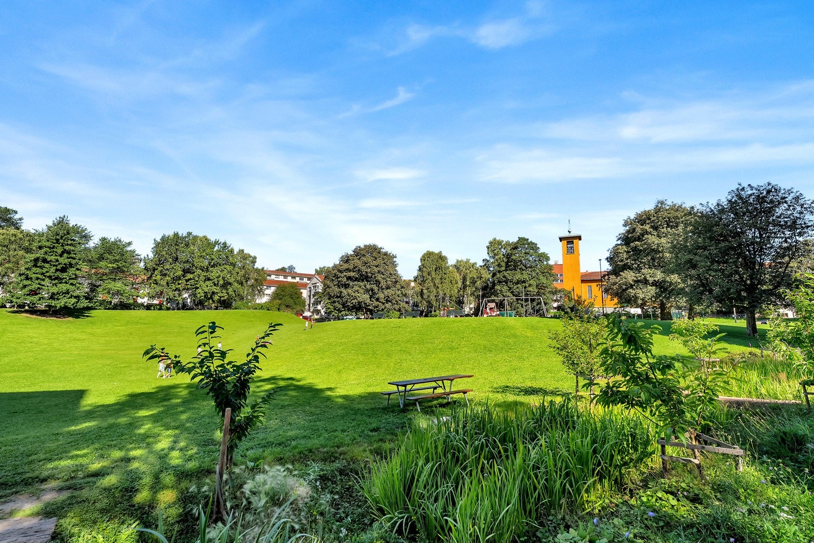 Like ved leiligheten ligger Iladalen park som er svært populær på sommerhalvåret Galleribilde