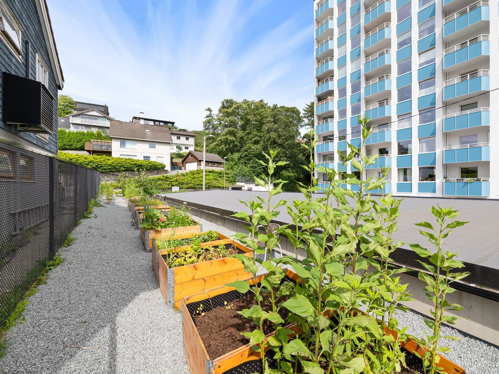 Eget tilegnet område for dyrking i plante-/grønnsakskasser for de med grønne fingre. Galleribilde