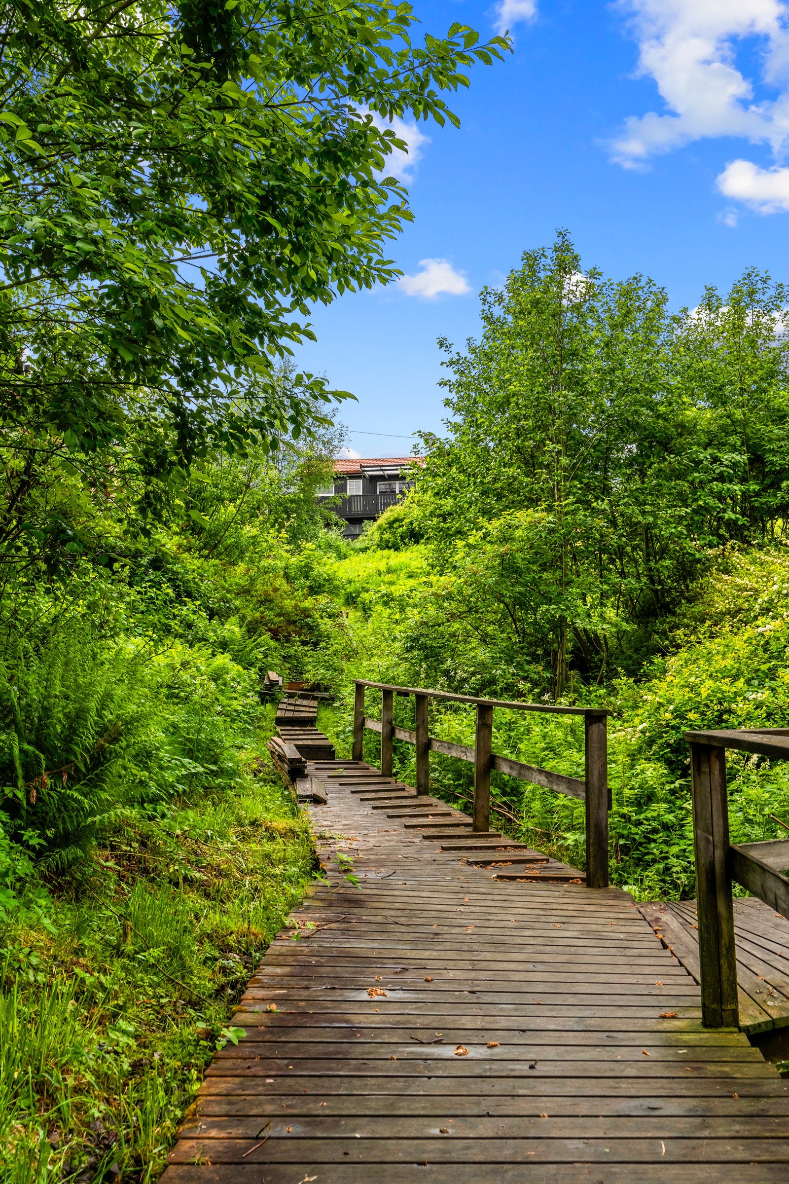 Sti og trapp ned til båt- og badeplass Galleribilde