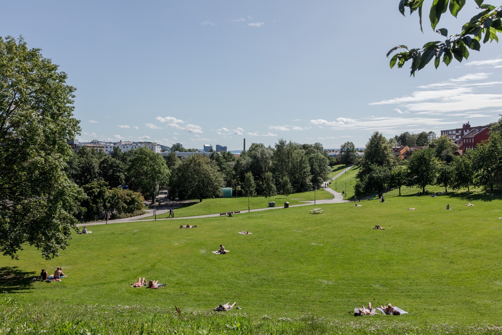 Sagenes grønne perle Myraløkka. Her holdes det bla. mye konserter. Galleribilde