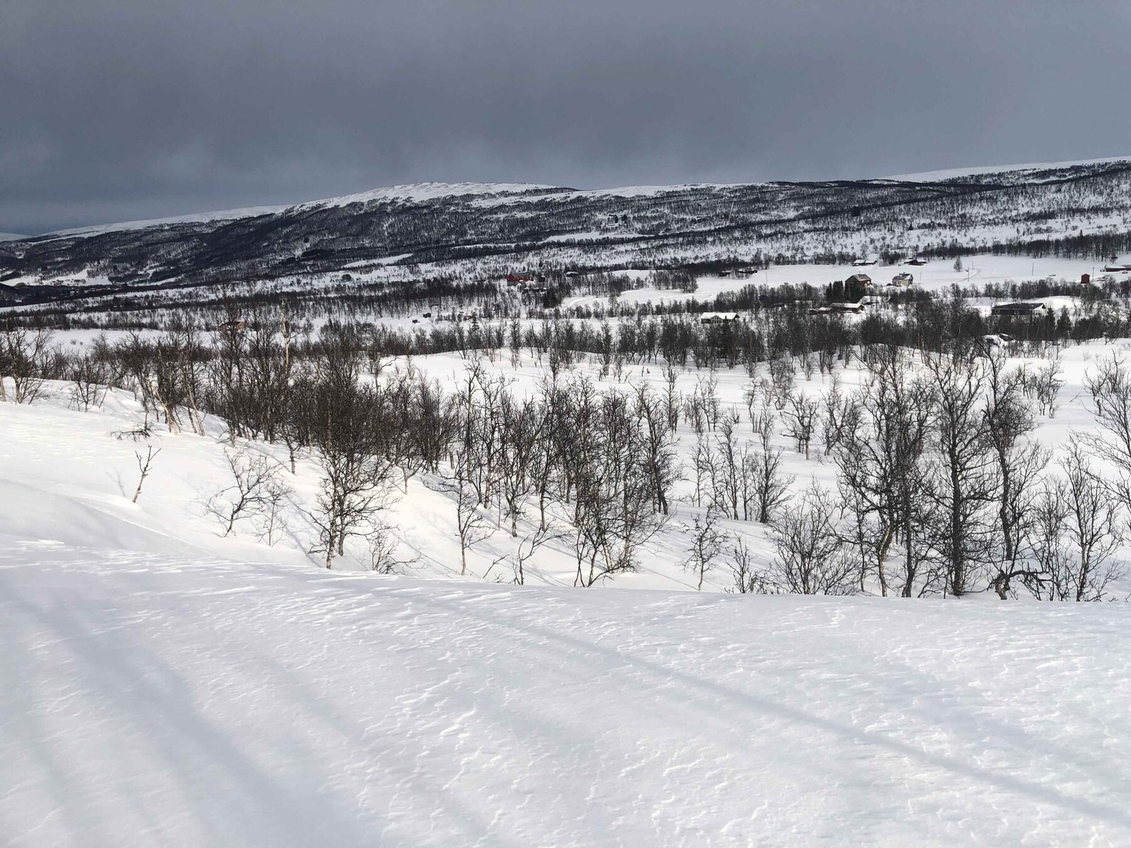 Fra tomteområdet Galleribilde