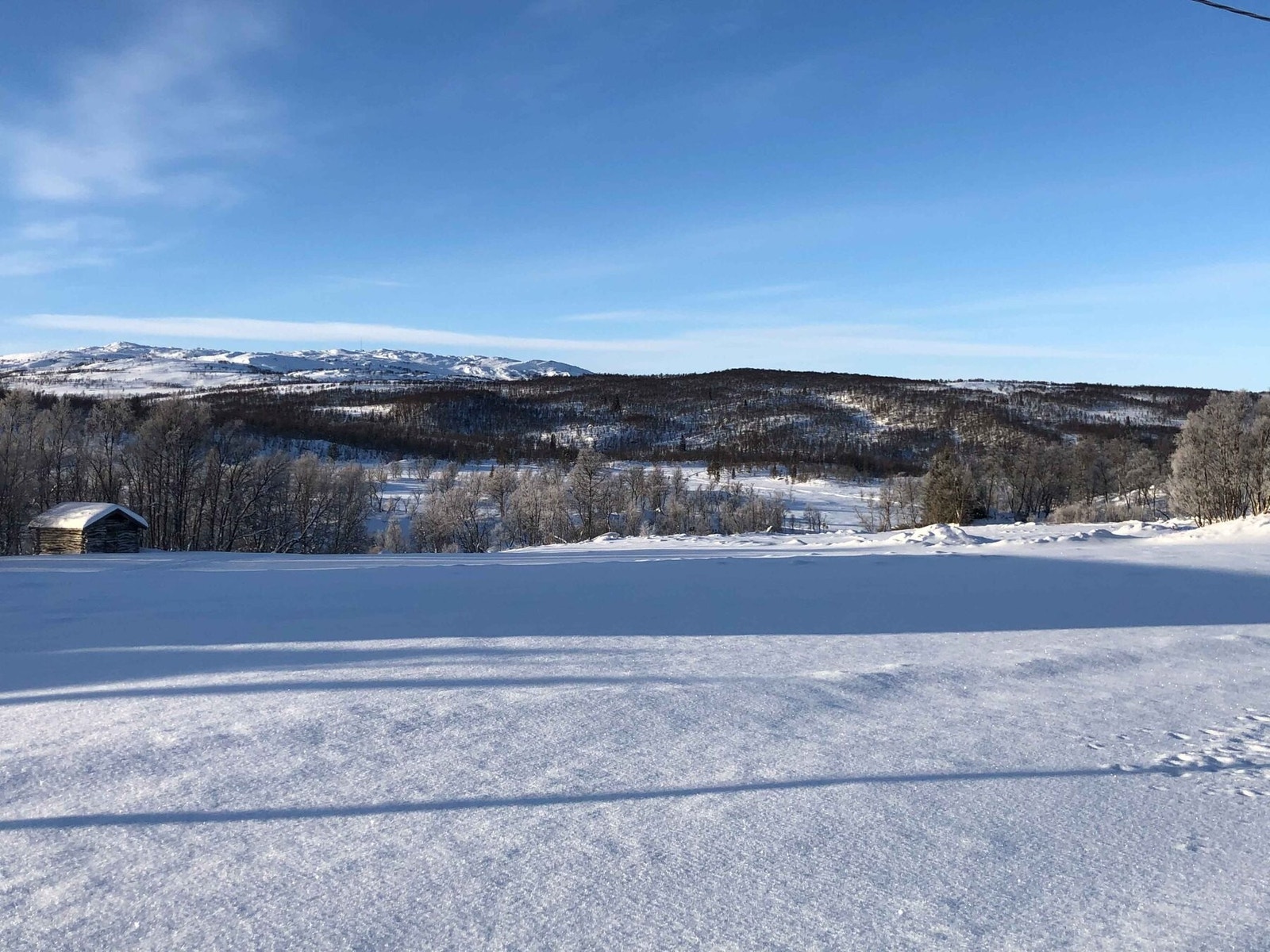 Fra tomteområdet Galleribilde