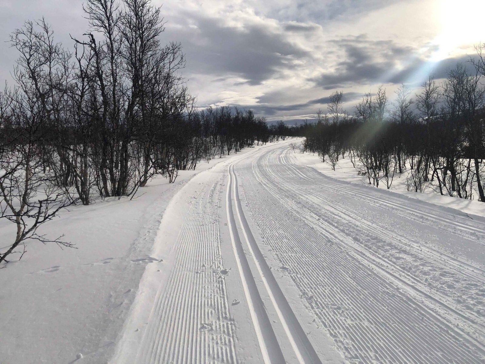Skiløypene går like ved hyttetomtene Galleribilde