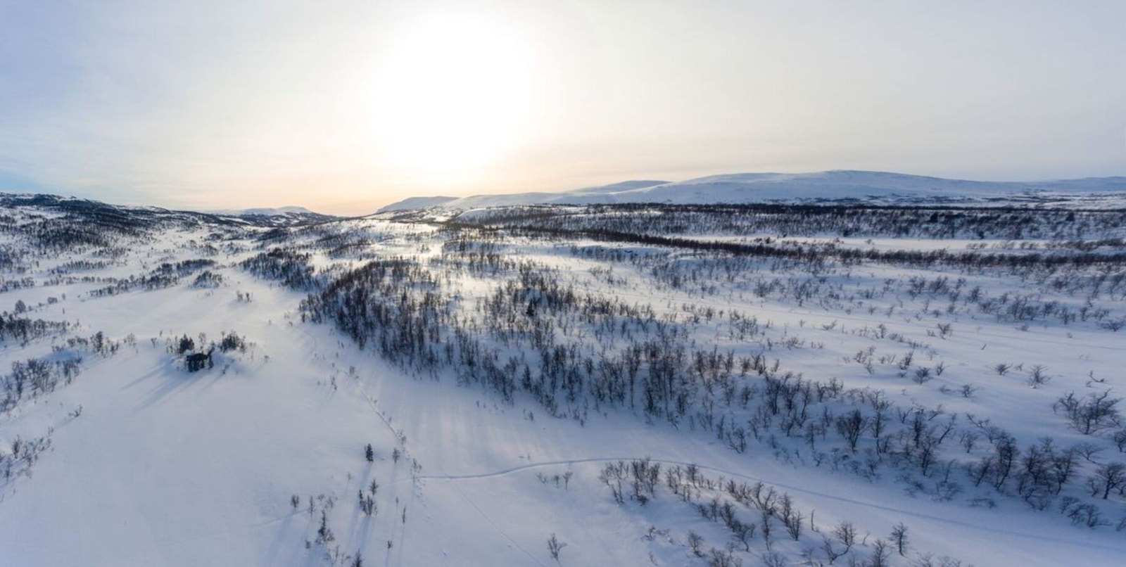 Fra tomteområdet Galleribilde