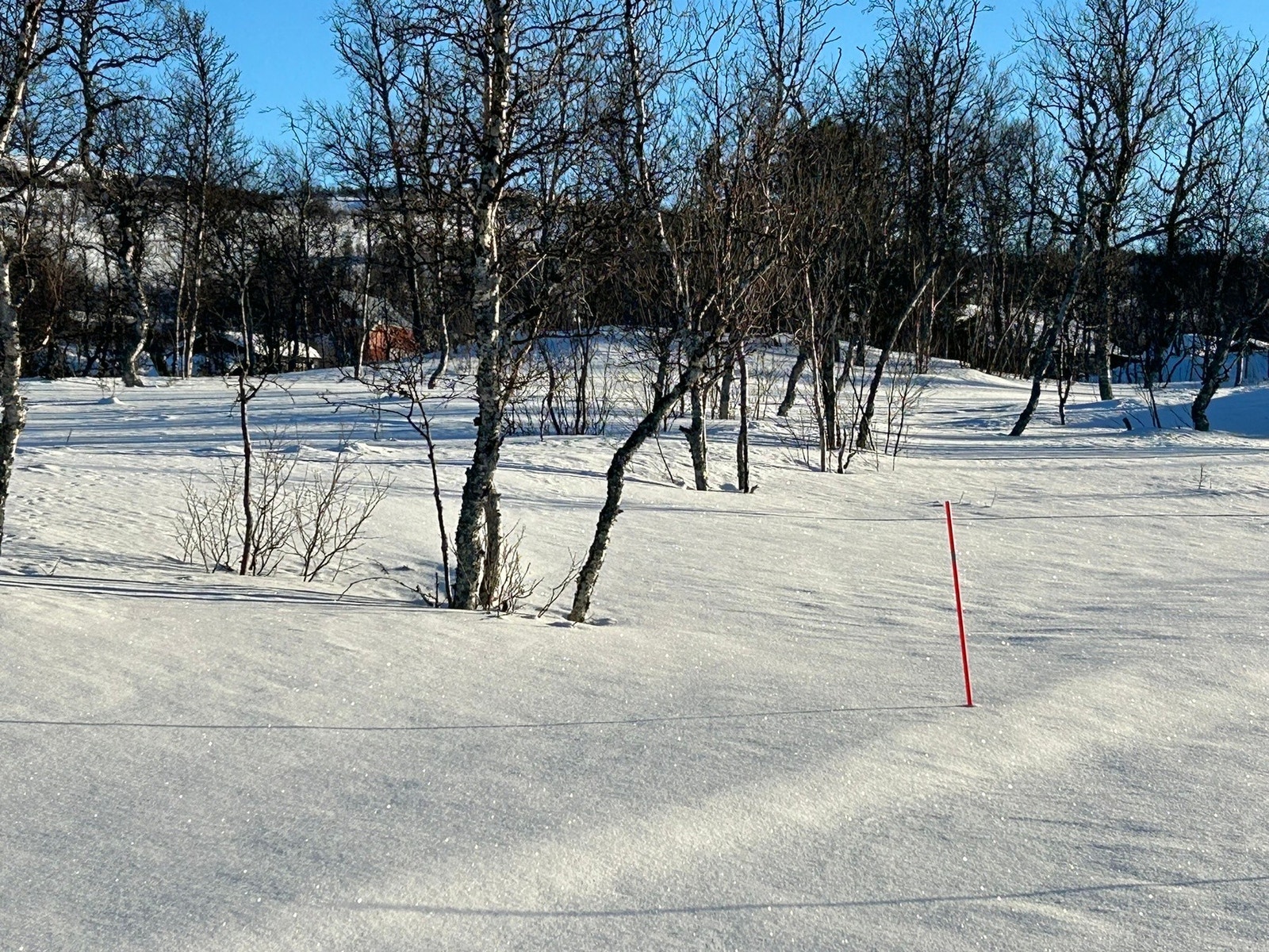 Fra tomteområdet Galleribilde