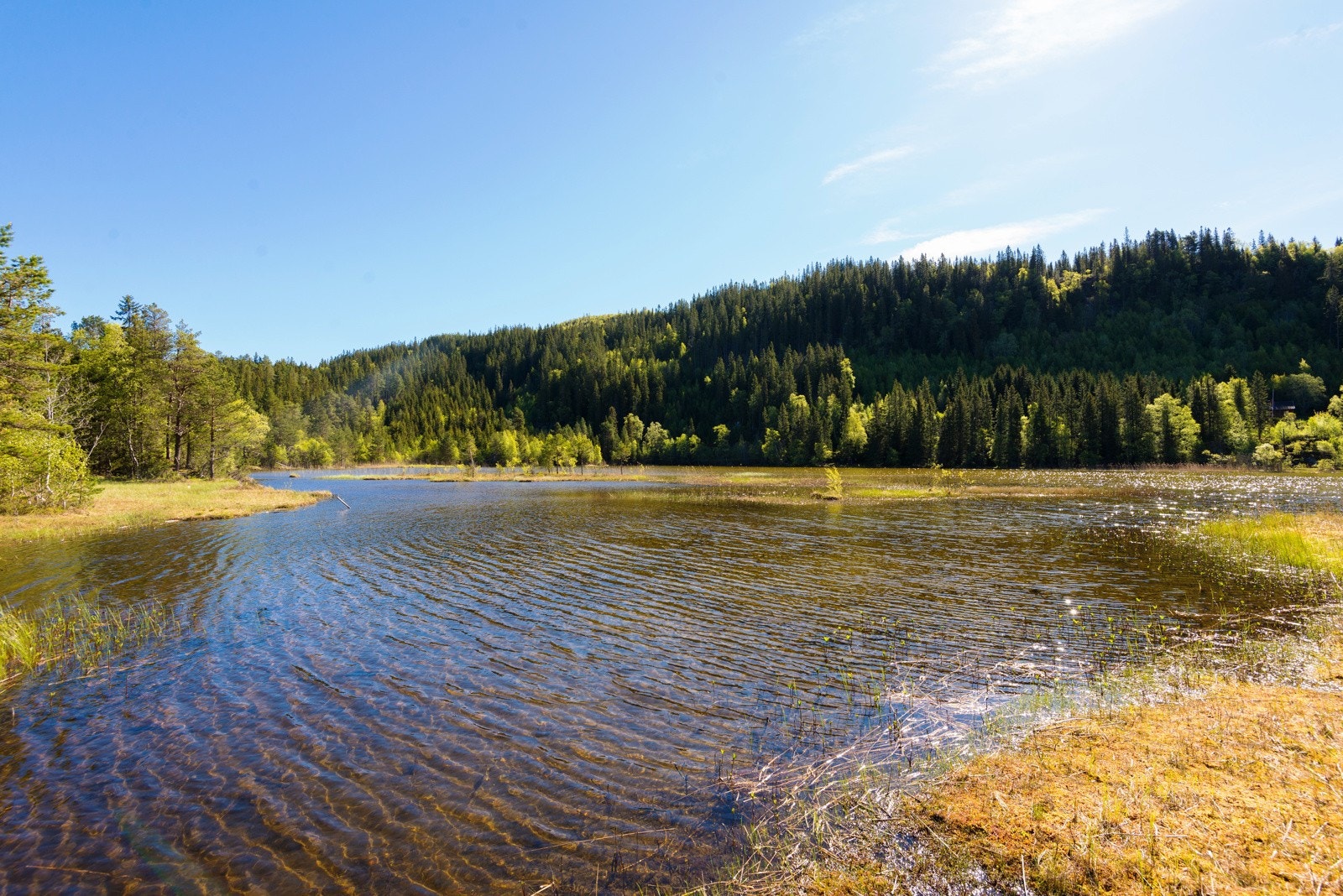 Solemstjønna på Reppe er et godt utgangspunkt for turer i skog og mark. Lysløypen er flittig brukt i vinterhalvåret. Galleribilde