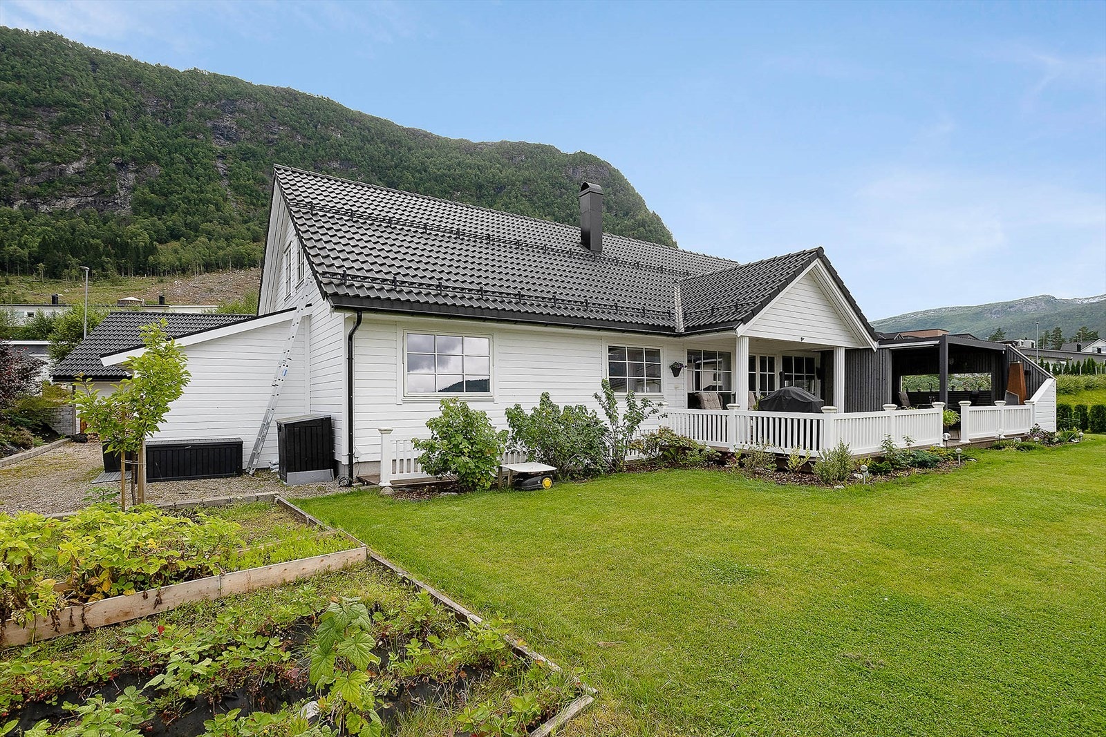Hjortelia 50 Galleribilde