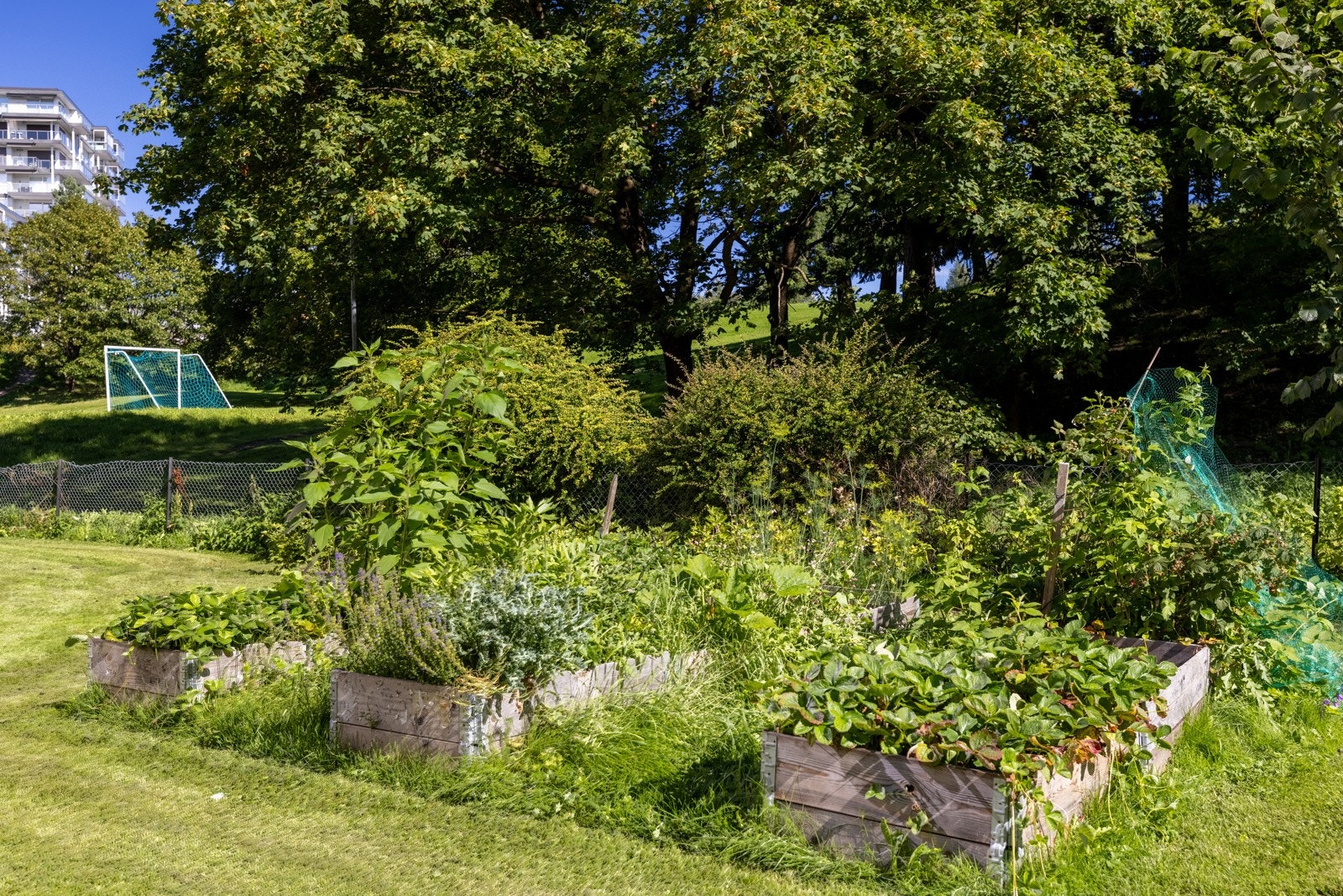 Plantekasser i fellearealer. Galleribilde