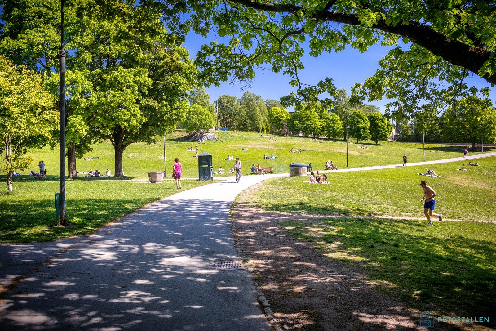 Flotte Torshovdalen som din nærmeste nabo. Galleribilde