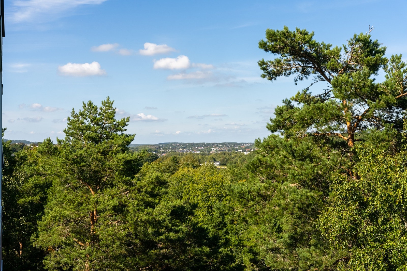 Utsikt over nærområdet. Galleribilde